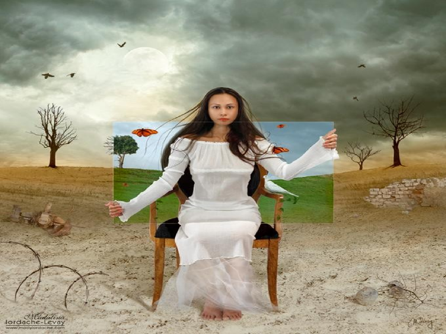 DIGITAL   ALTERNATIONS.ppt 第4页