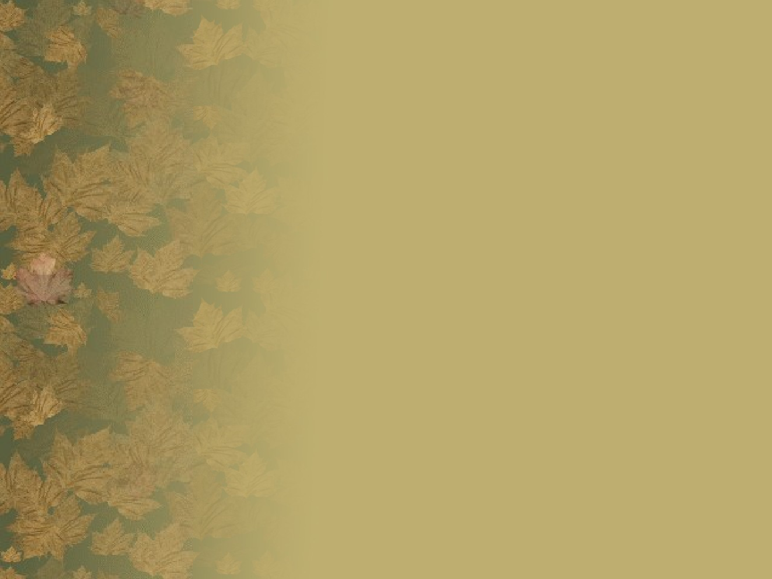 p-Autumn Presentation.ppt 第3页