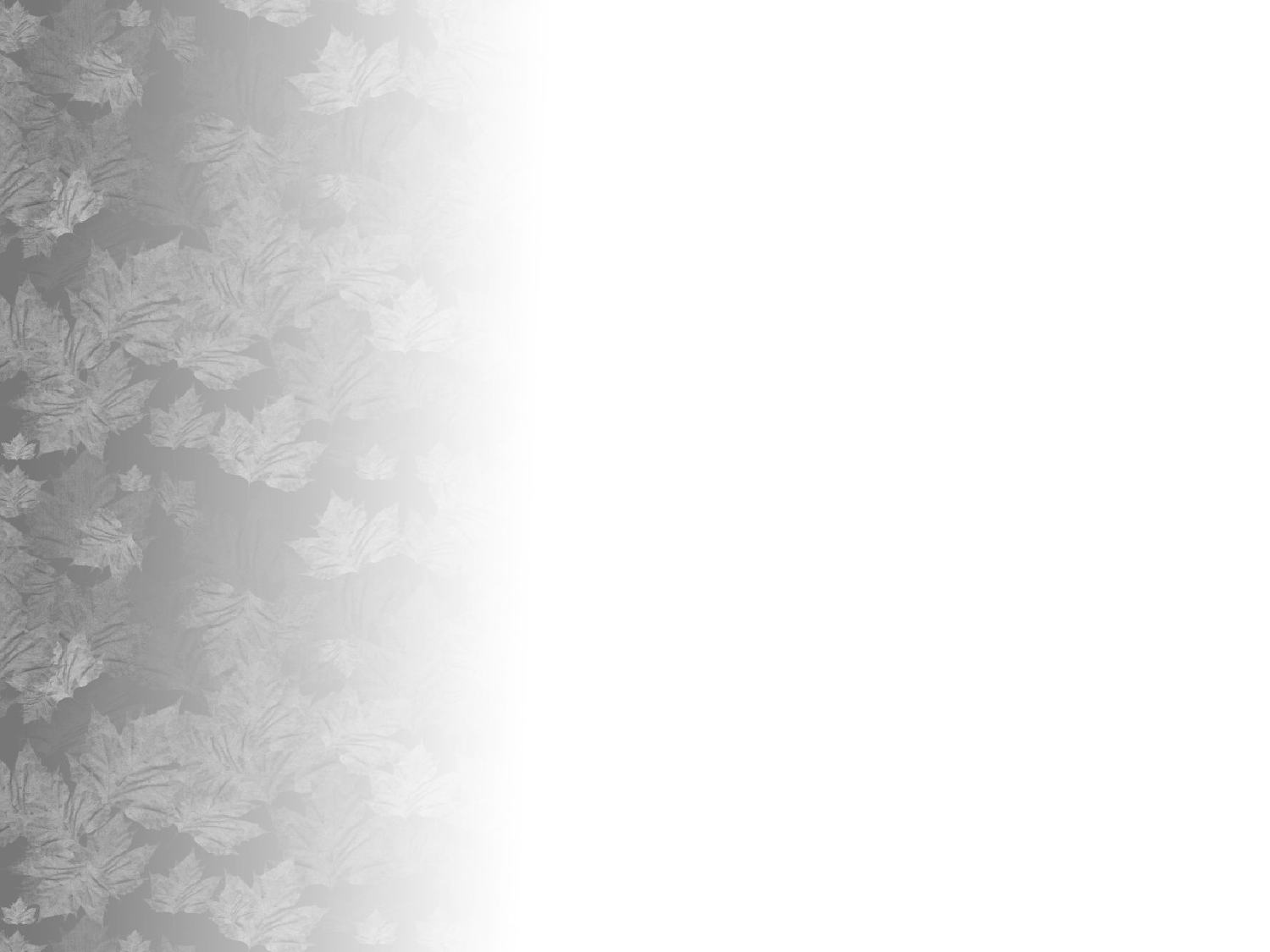 p-Autumn Presentation.ppt 第4页