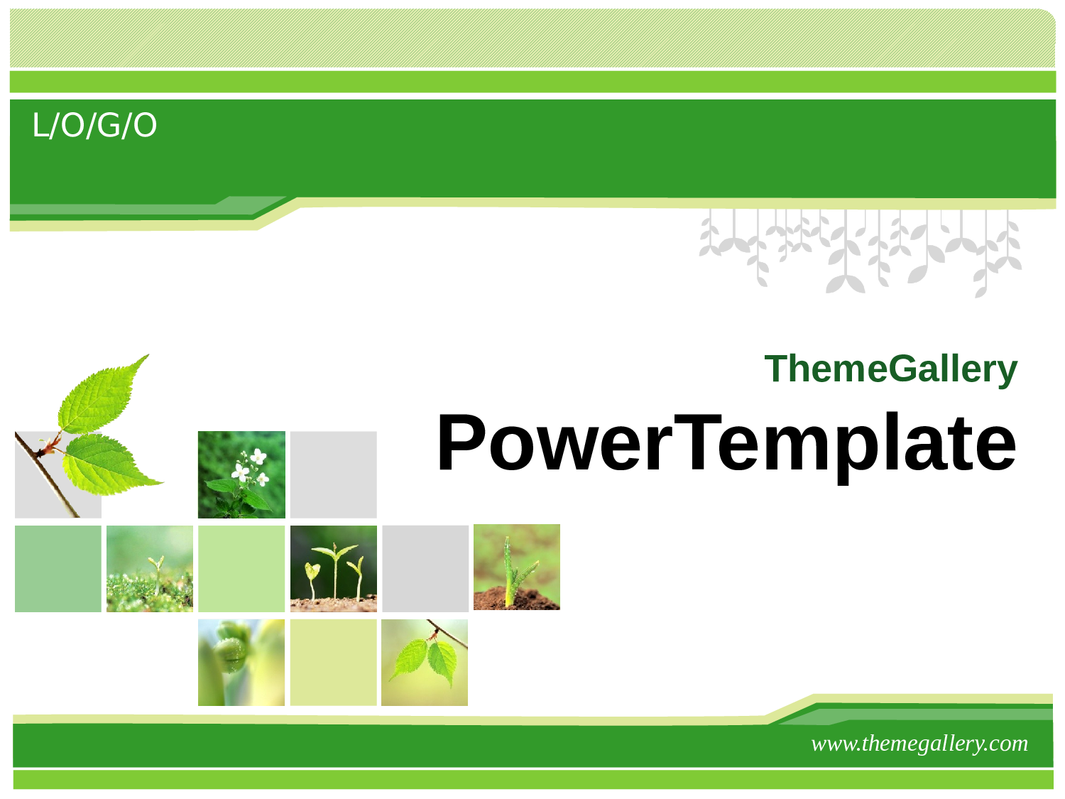 TG新模板-春意萌动绿色主题模板.pptx 第1页