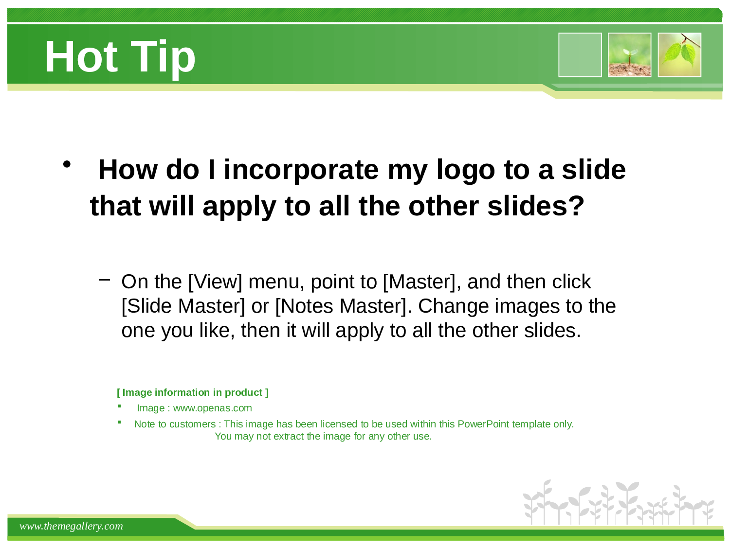 TG新模板-春意萌动绿色主题模板.pptx 第3页