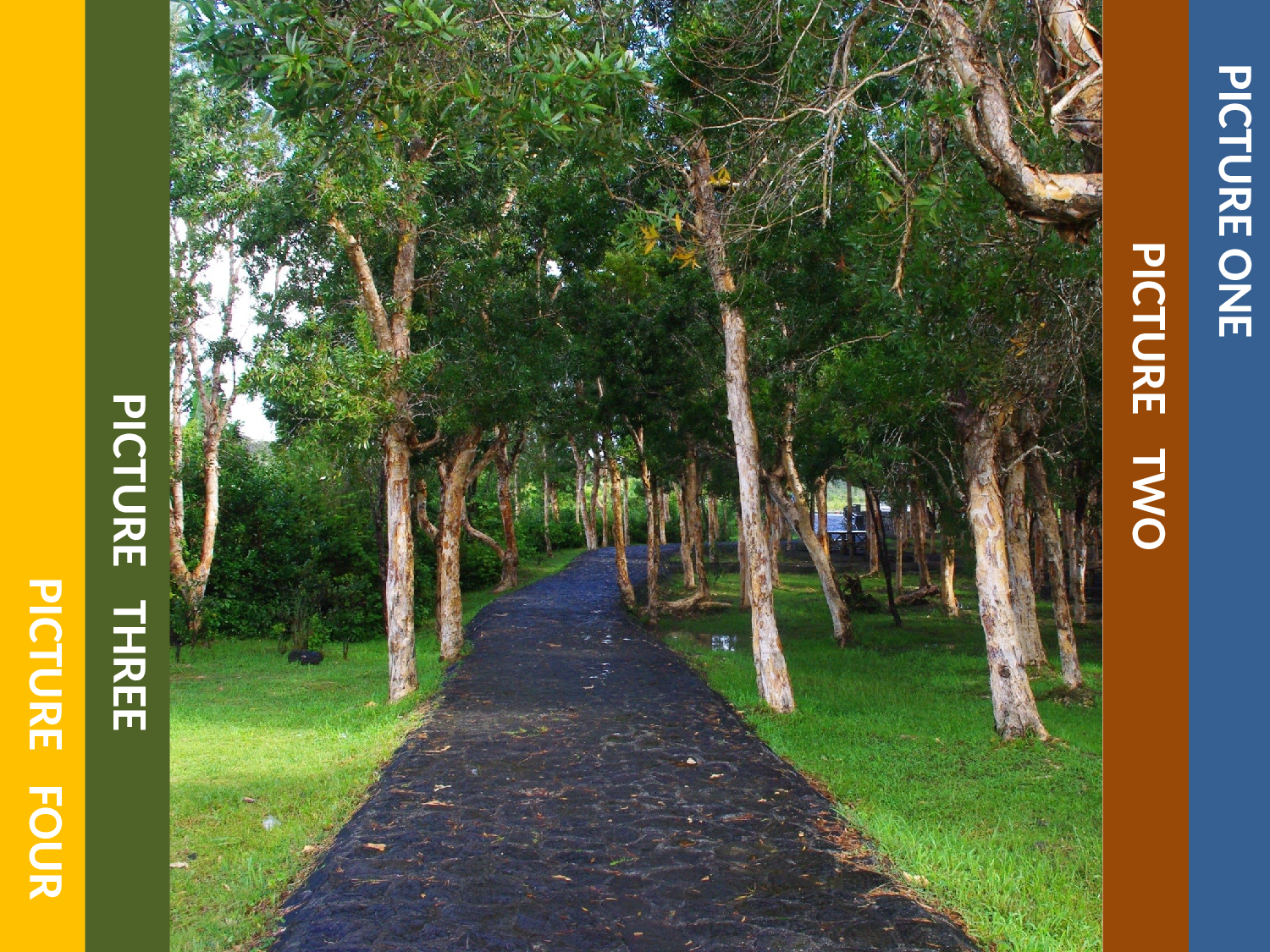 仿网页图片轮播效果2010.pptx 第5页