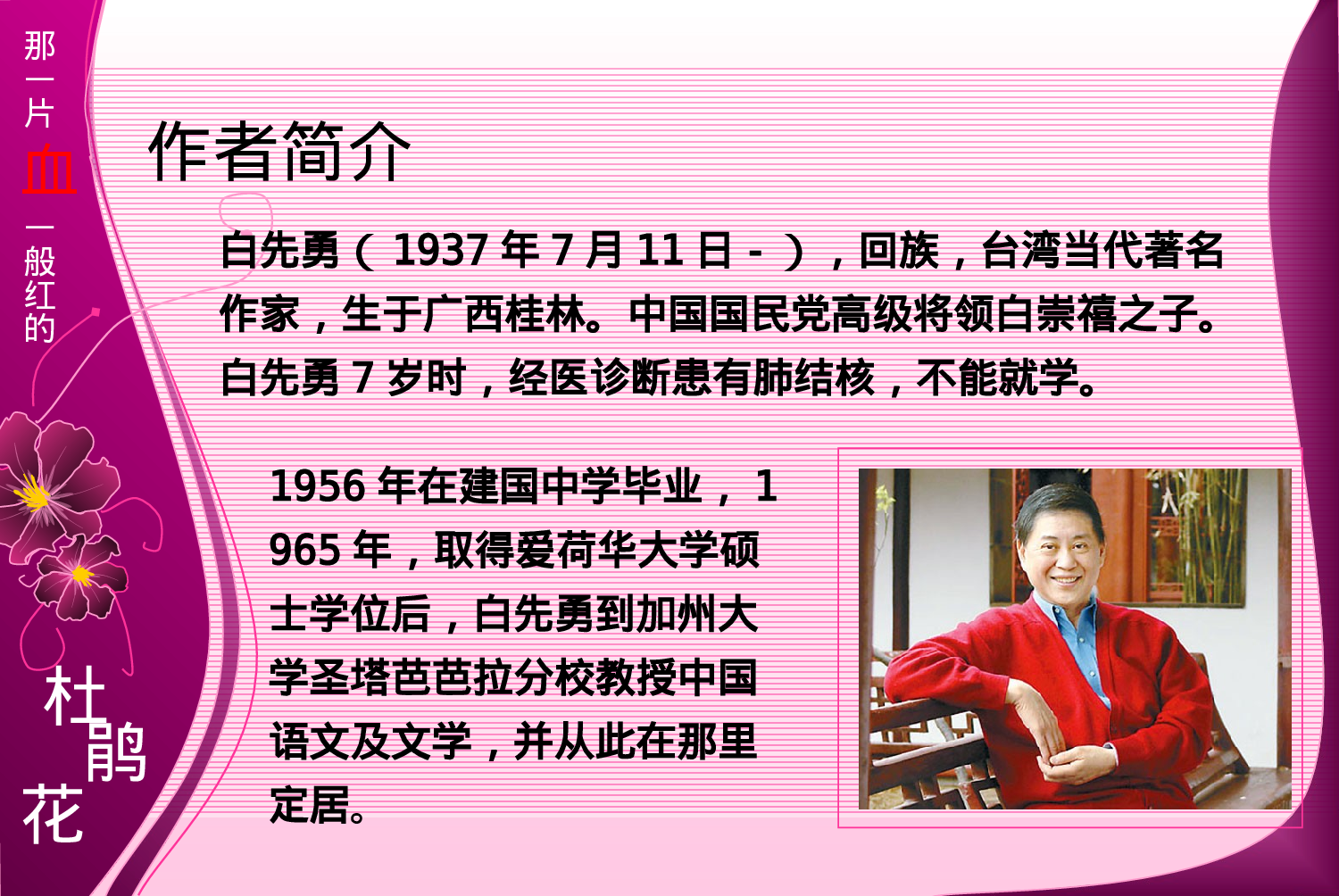 那一片血一般红的杜鹃花PPT.ppt 第3页