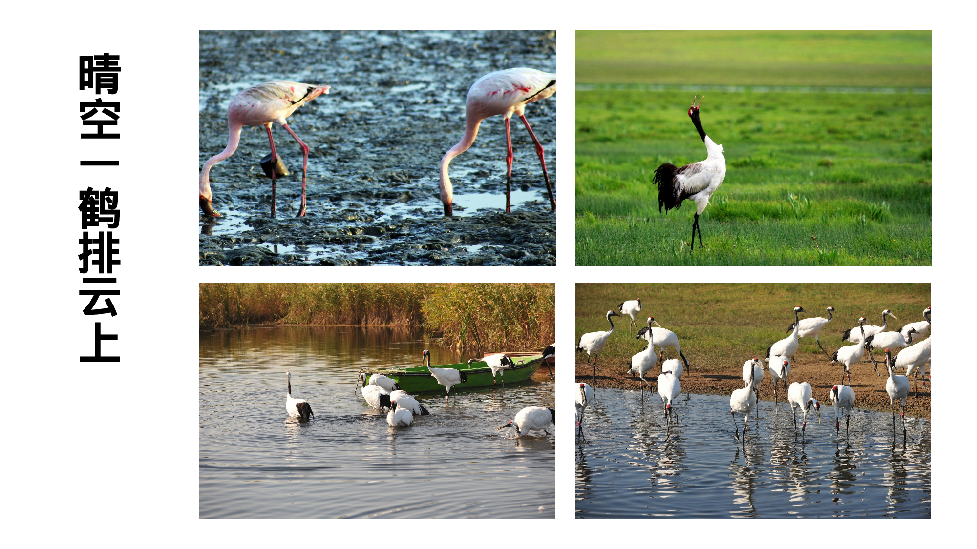 教育说师(315).pptx 第3页