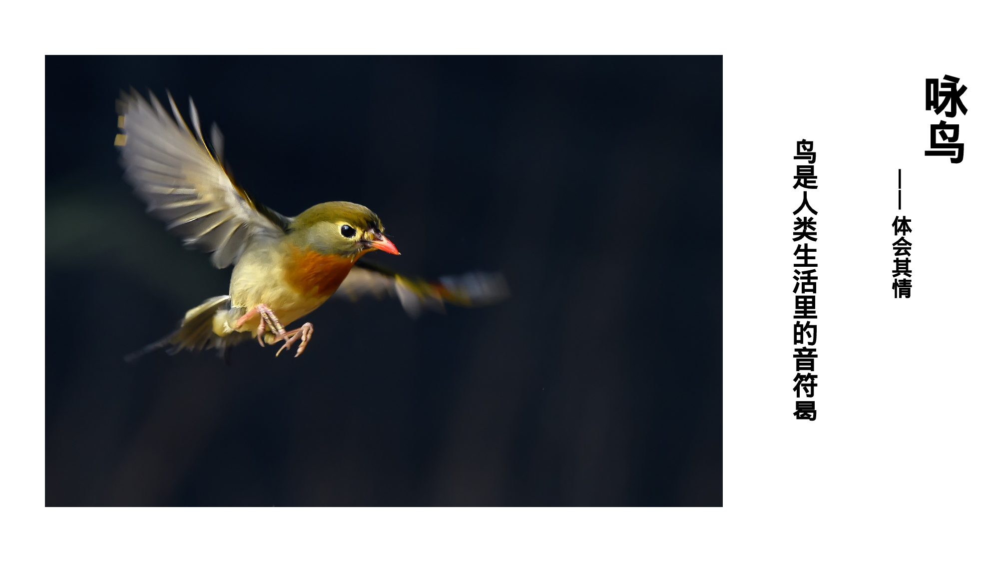 教育说师(315).pptx 第4页