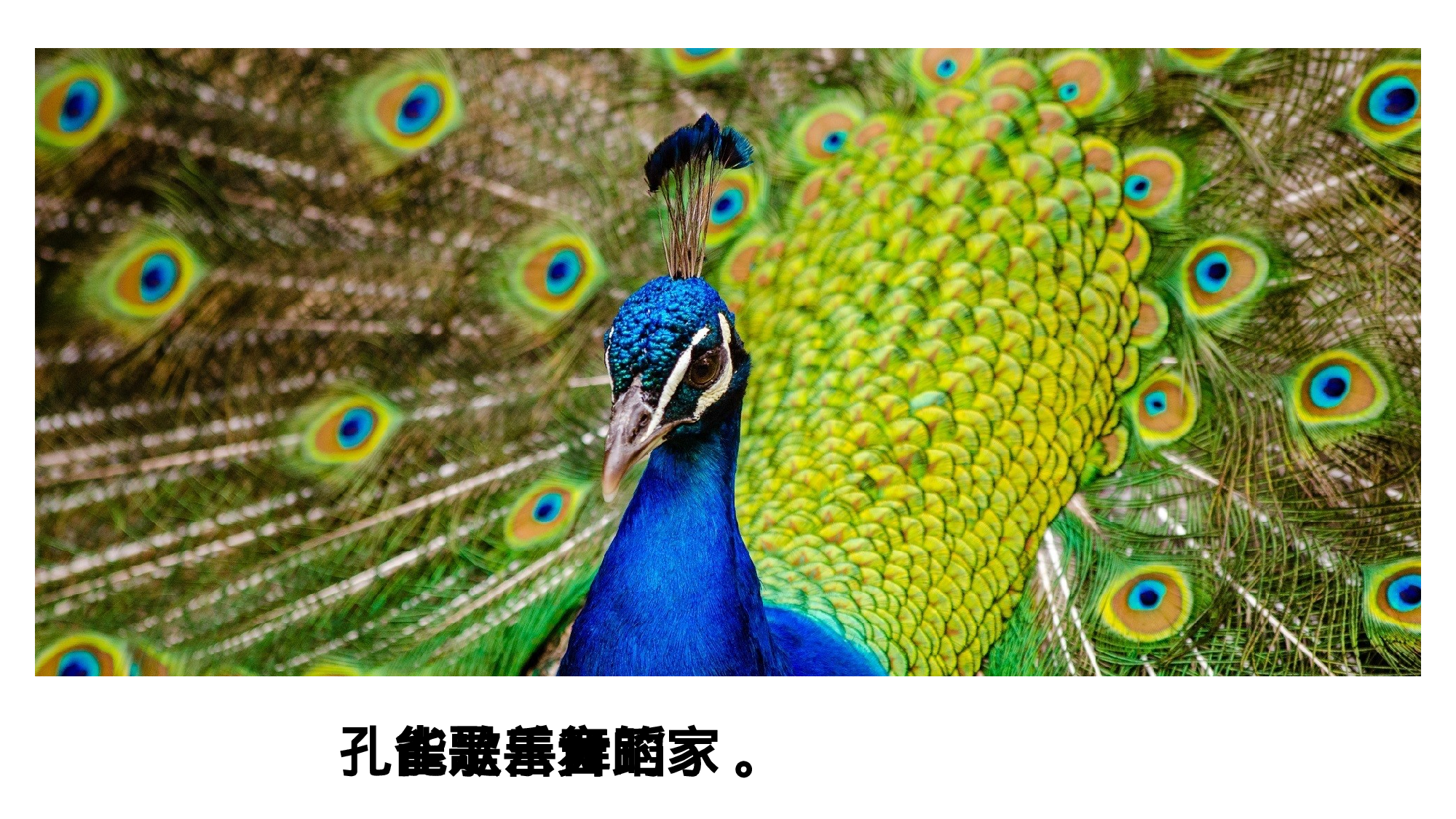 教育说师(315).pptx 第5页