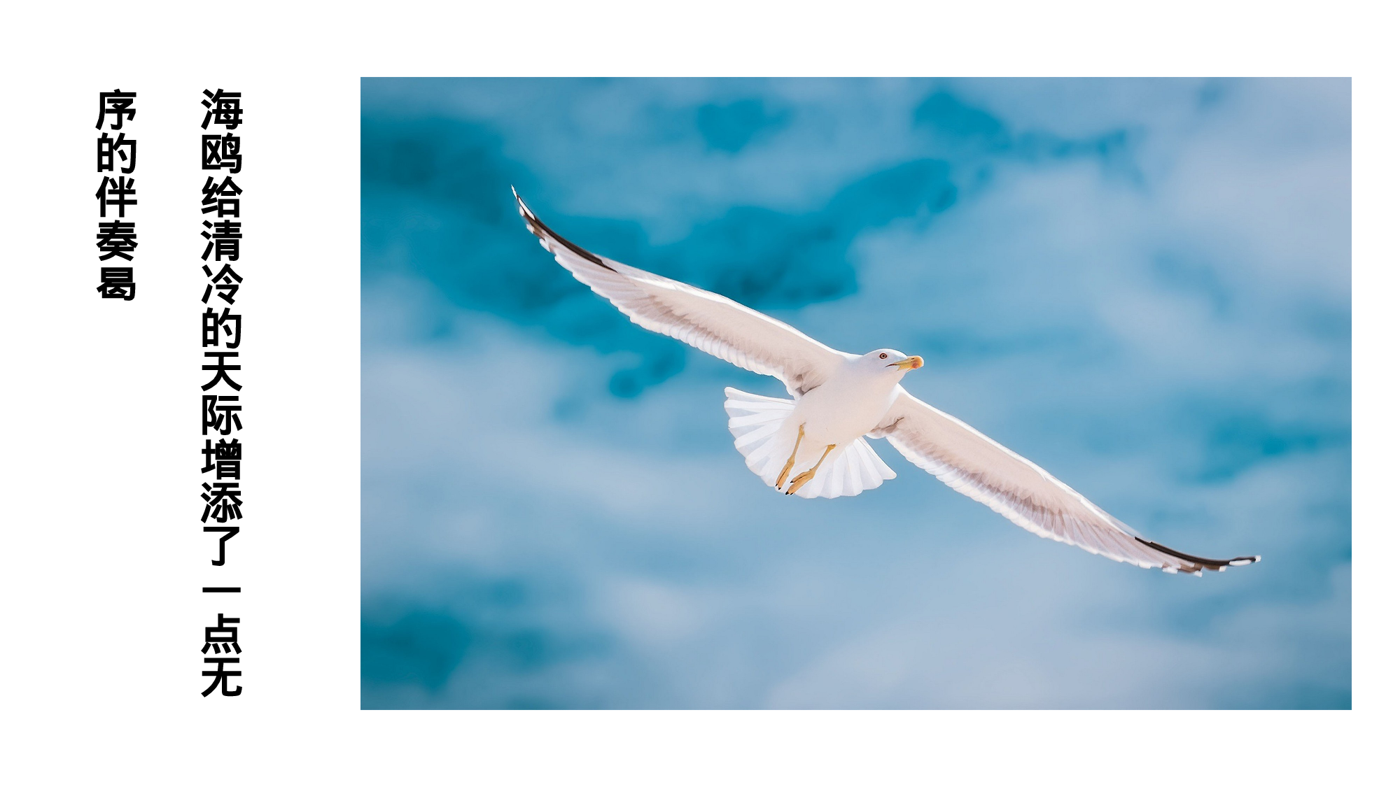 教育说师(315).pptx 第6页