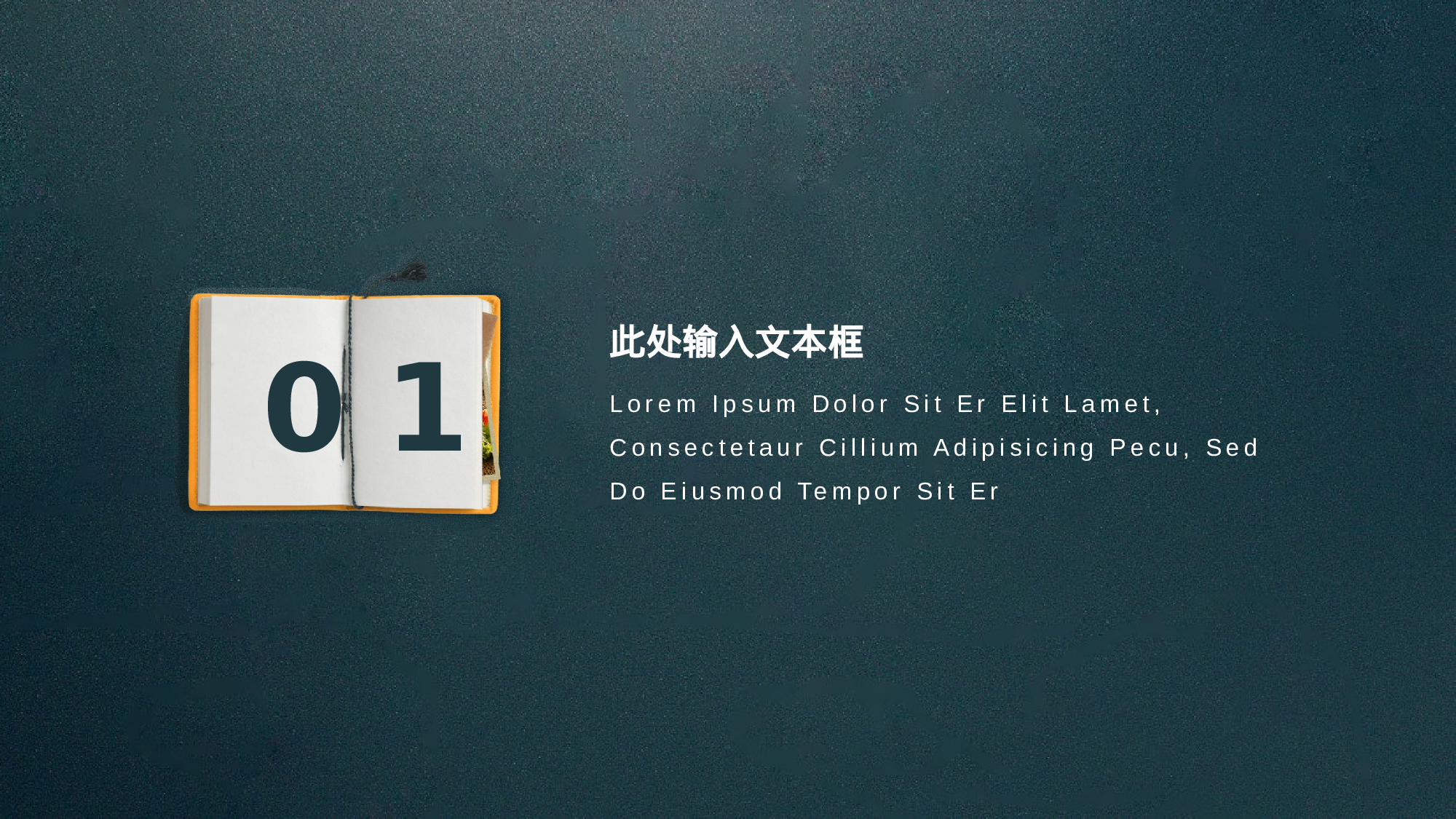 教育说课 (10).pptx 第3页