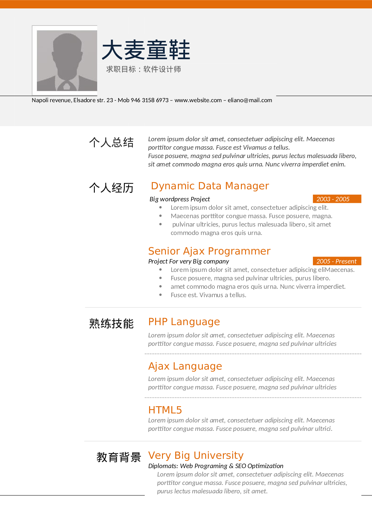 大麦精品参考简历_019.doc 第1页