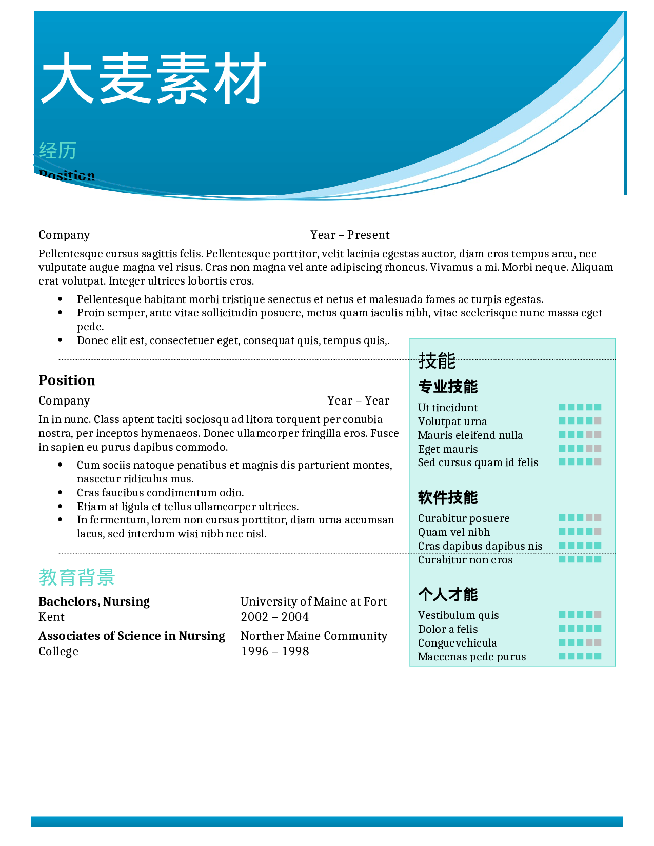 大麦精品参考简历_060.doc 第1页