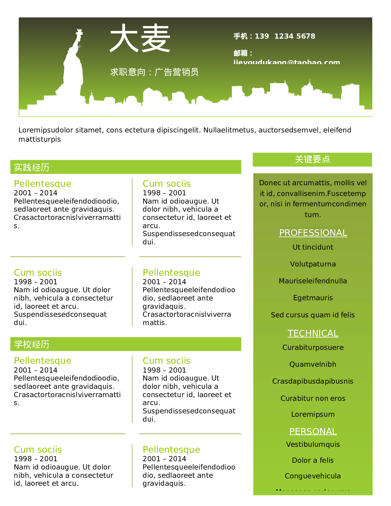 大麦精品参考简历_062.doc 第1页