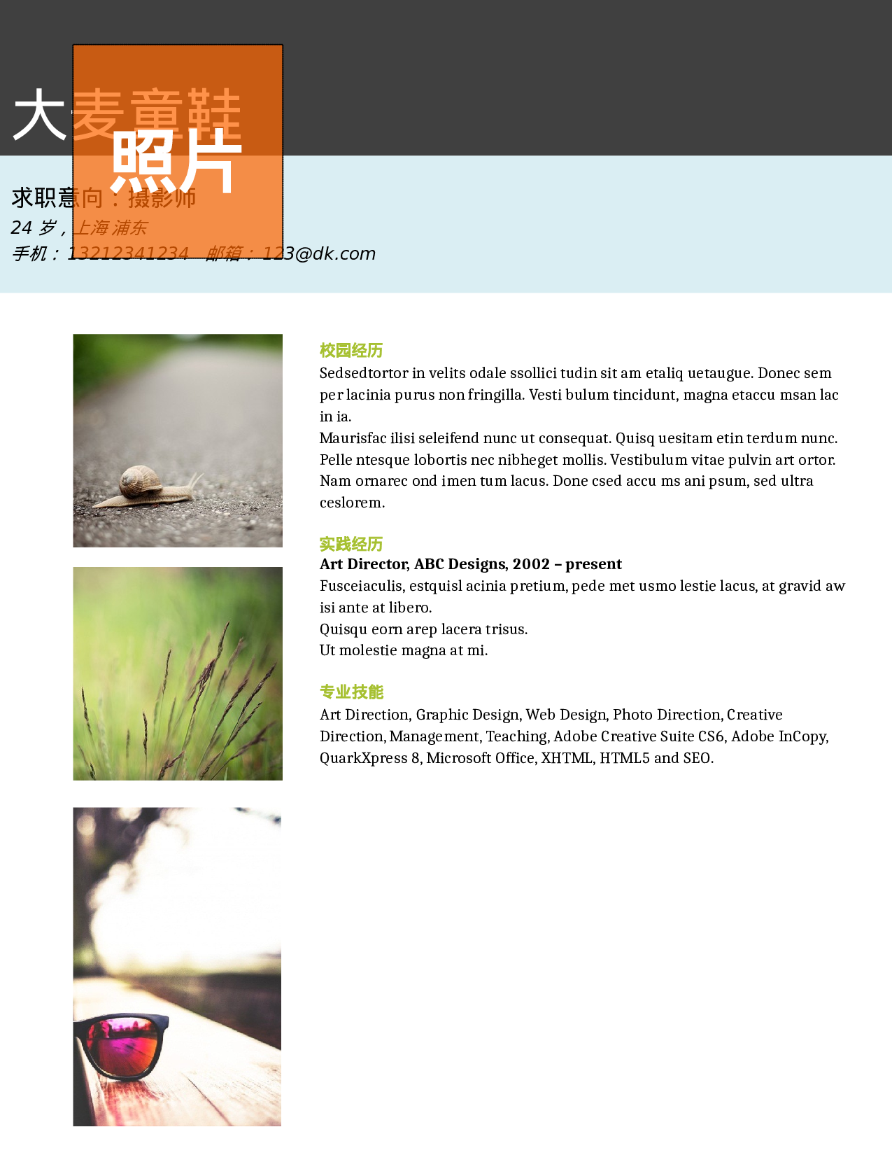 大麦精品参考简历_081.doc 第1页