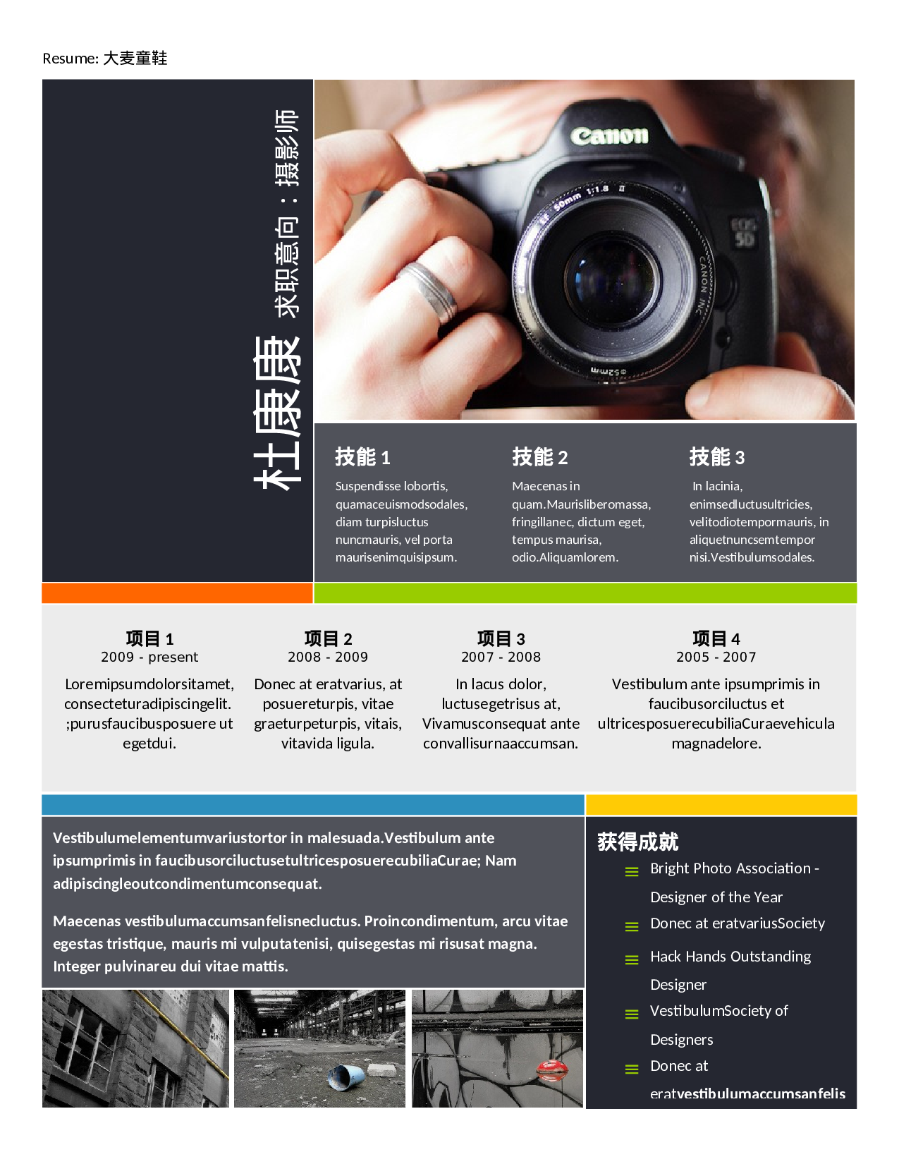 大麦精品参考简历_115.doc 第1页