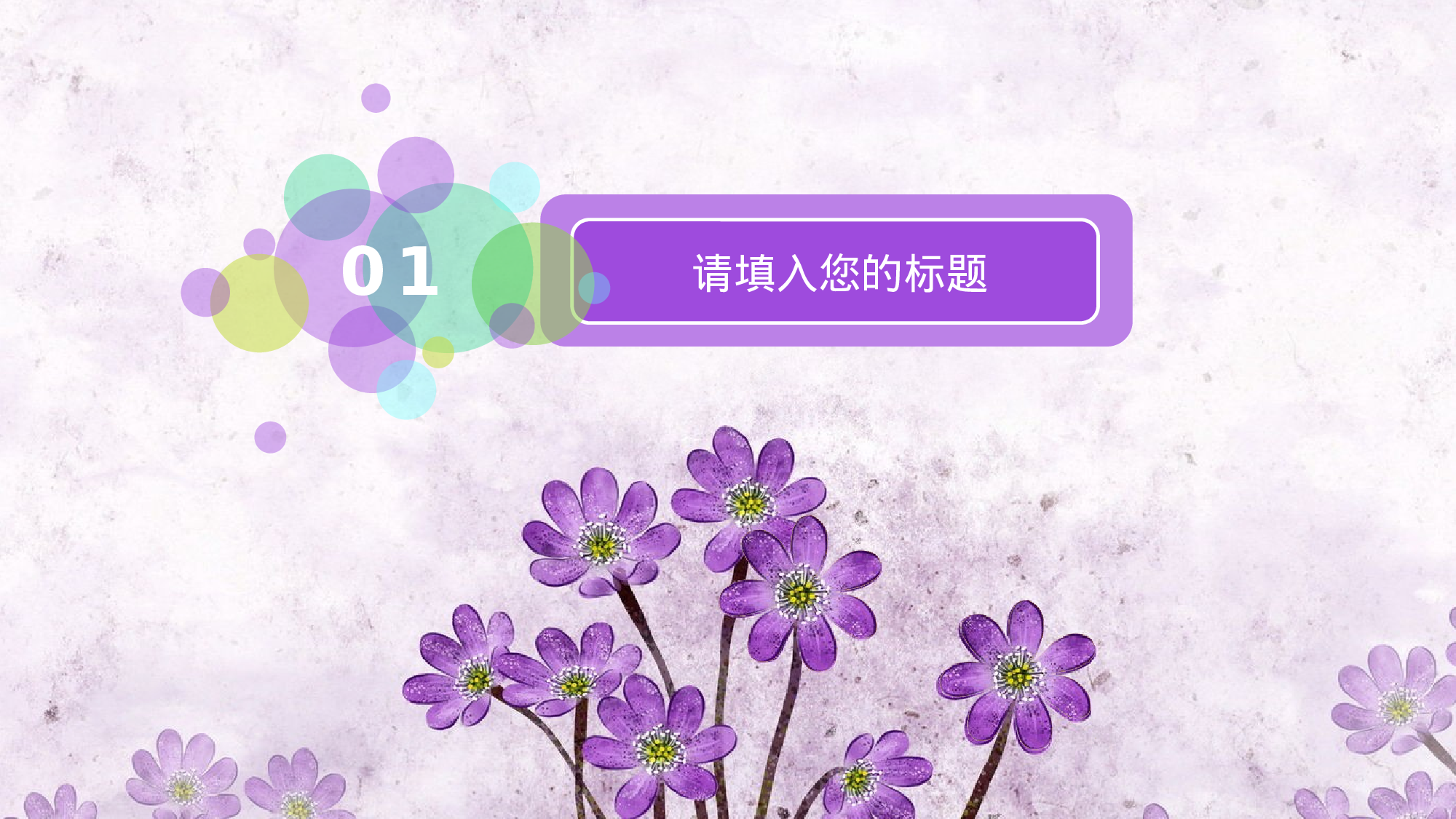 教育说课(746).pptx 第3页