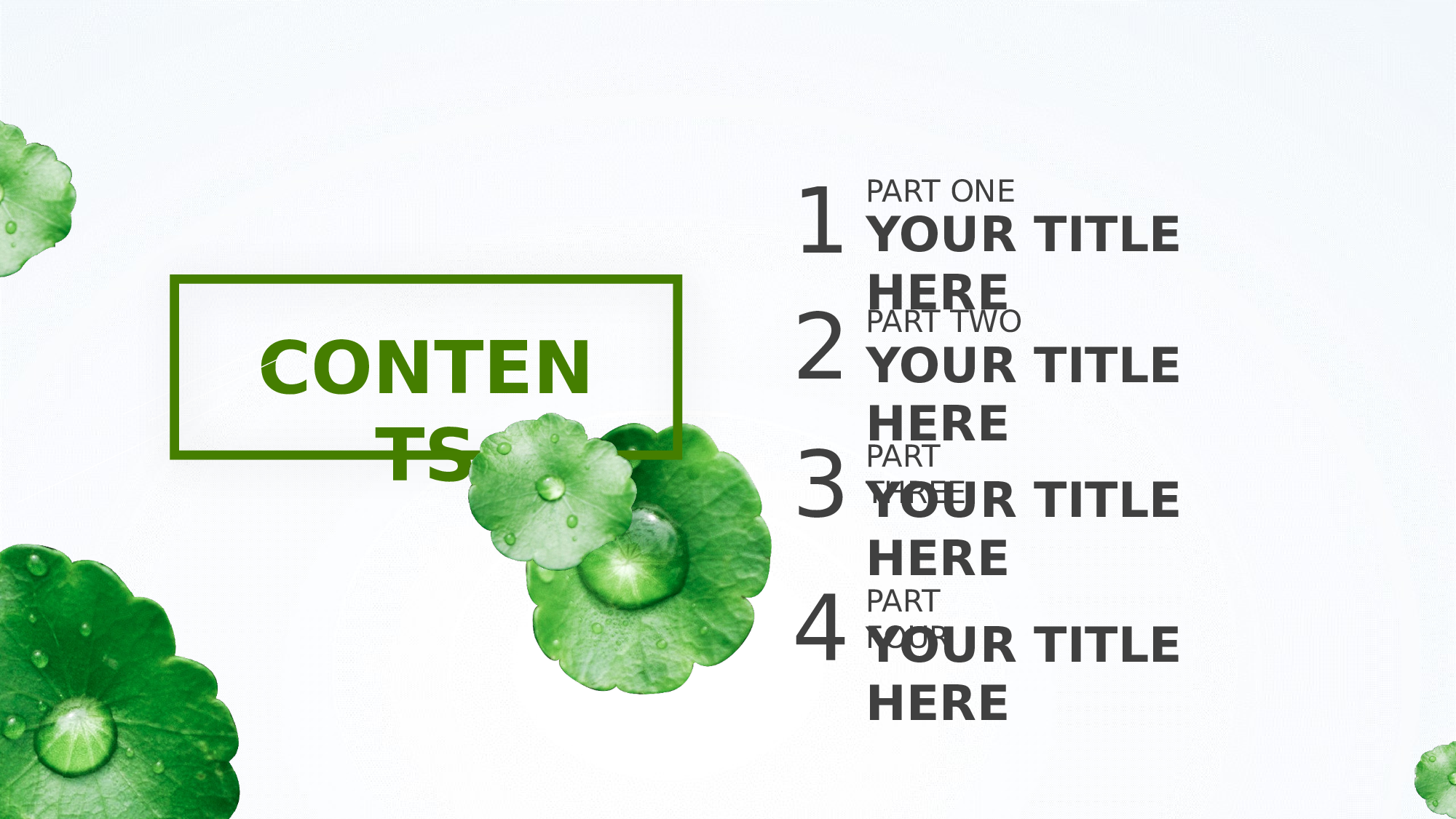 教育说课(470).pptx 第2页