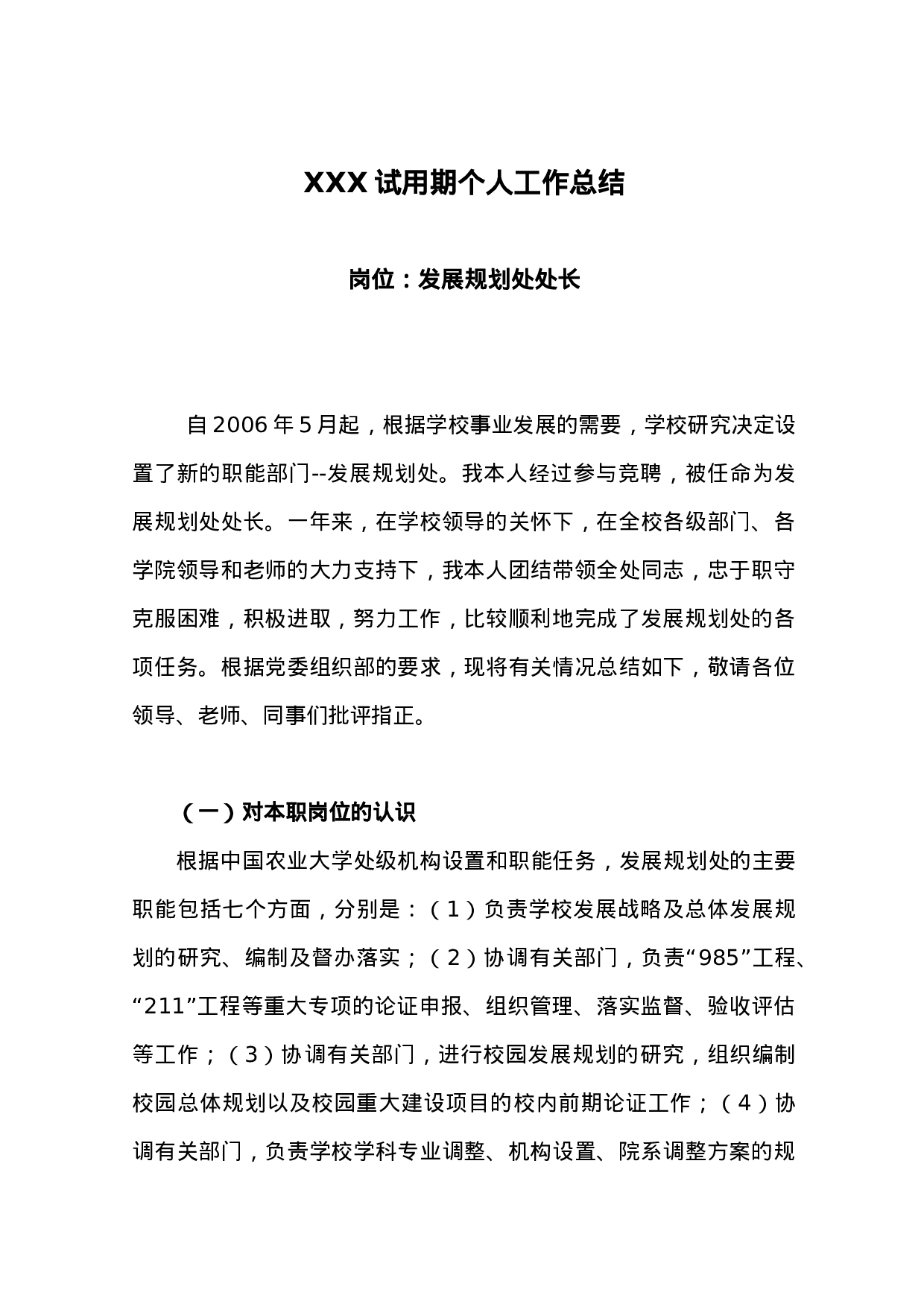 XXX试用期个人工作总结.doc 第1页