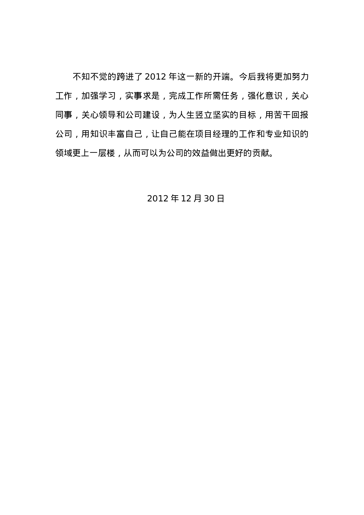 项目经理个人年终工作总结报告(3).doc 第3页