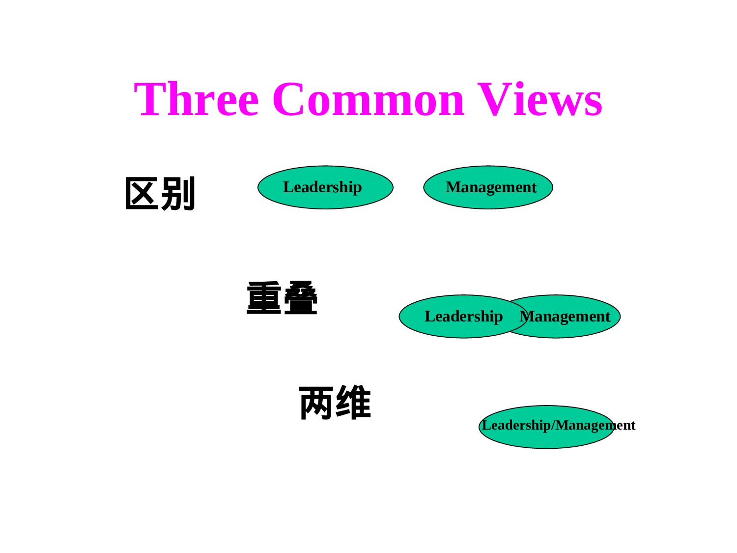 领导者.ppt 第6页