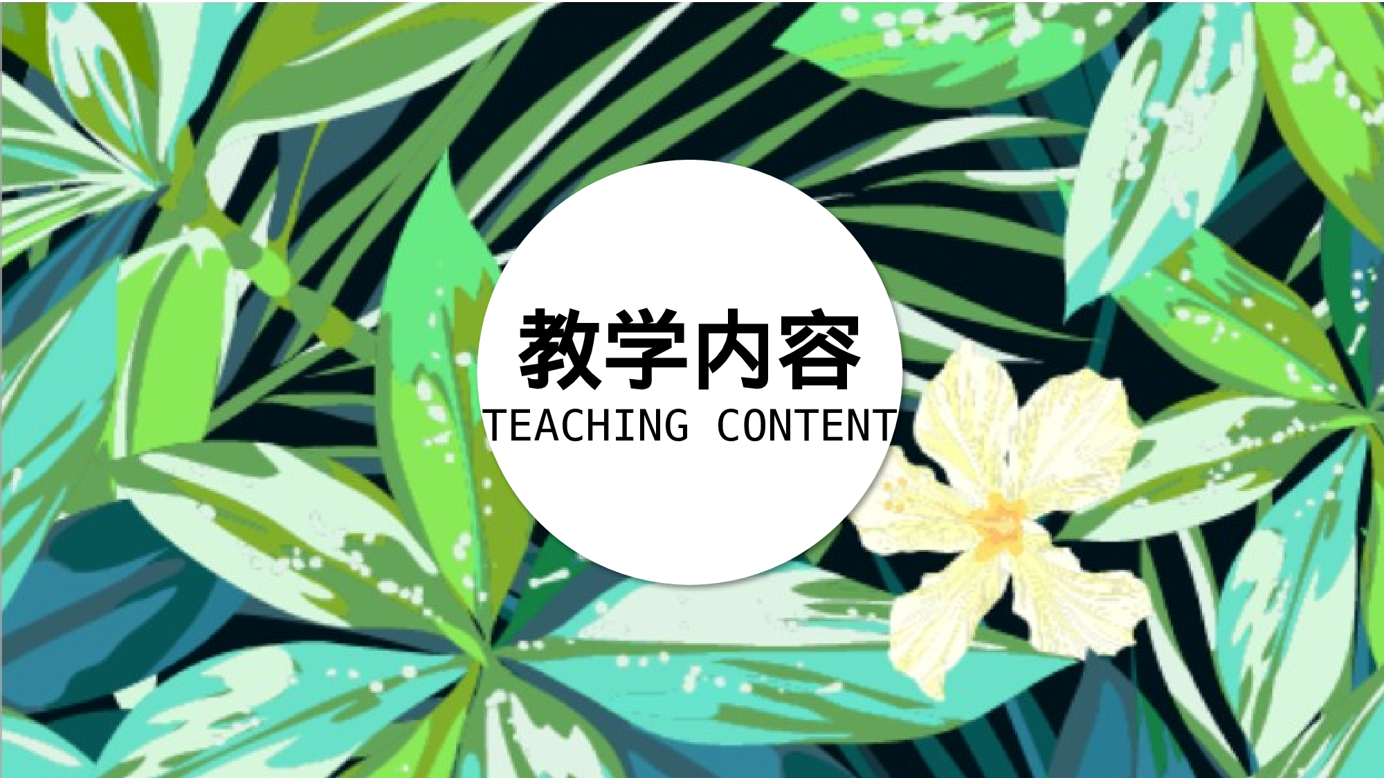 教师教育教学1036.pptx 第3页