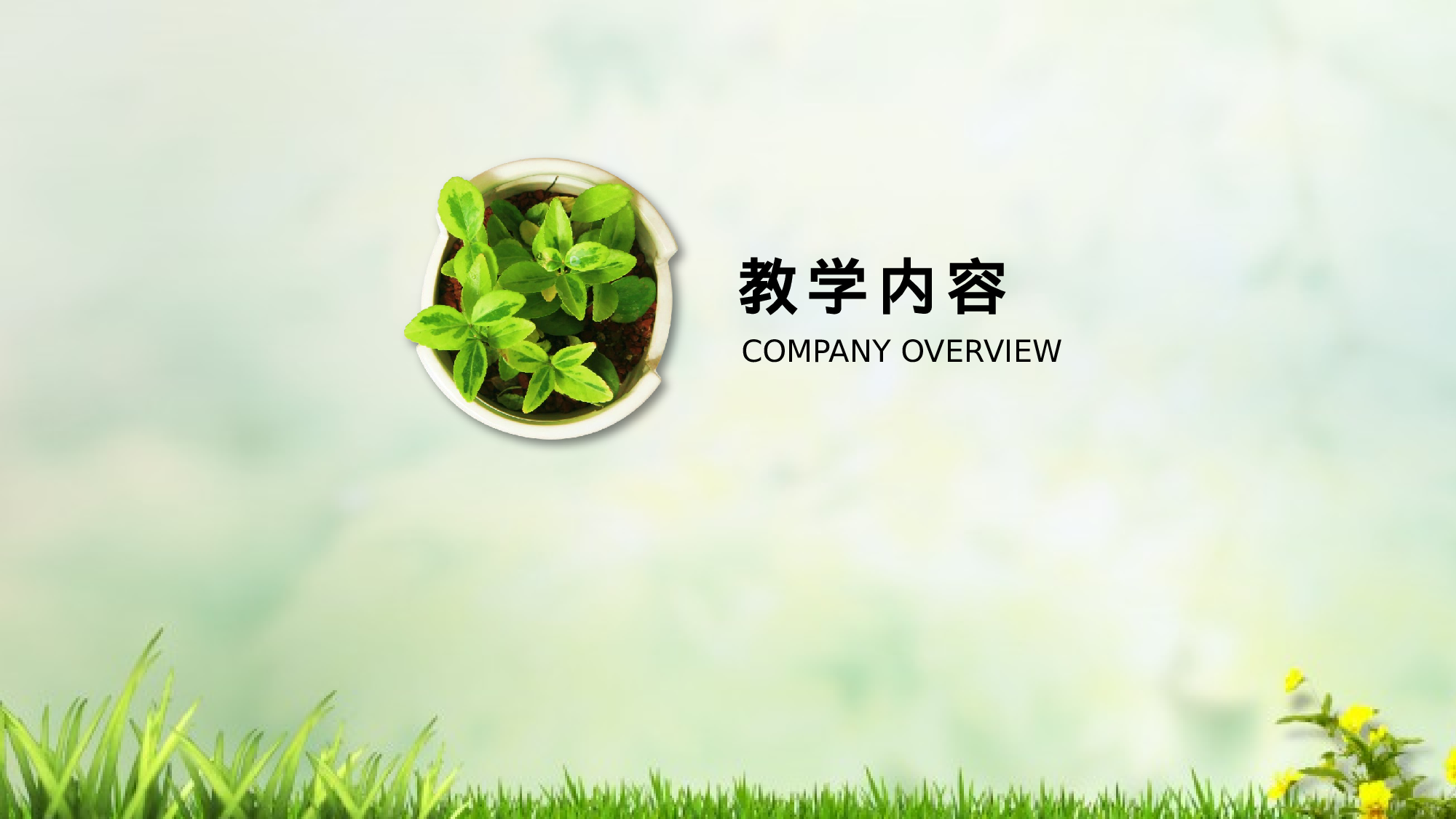 教师教育教学11115.pptx 第3页