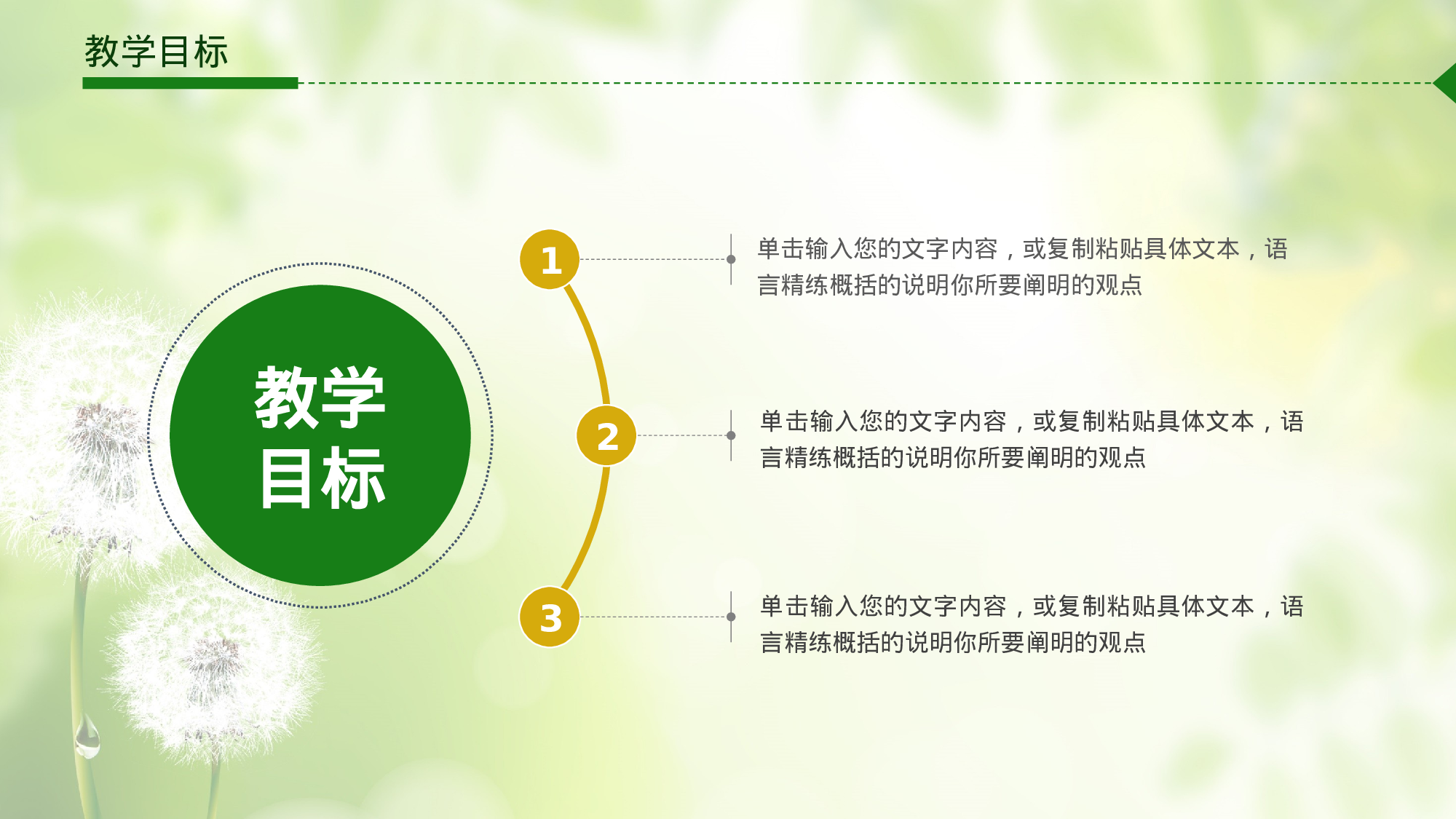 教师教育教学11721.pptx 第6页