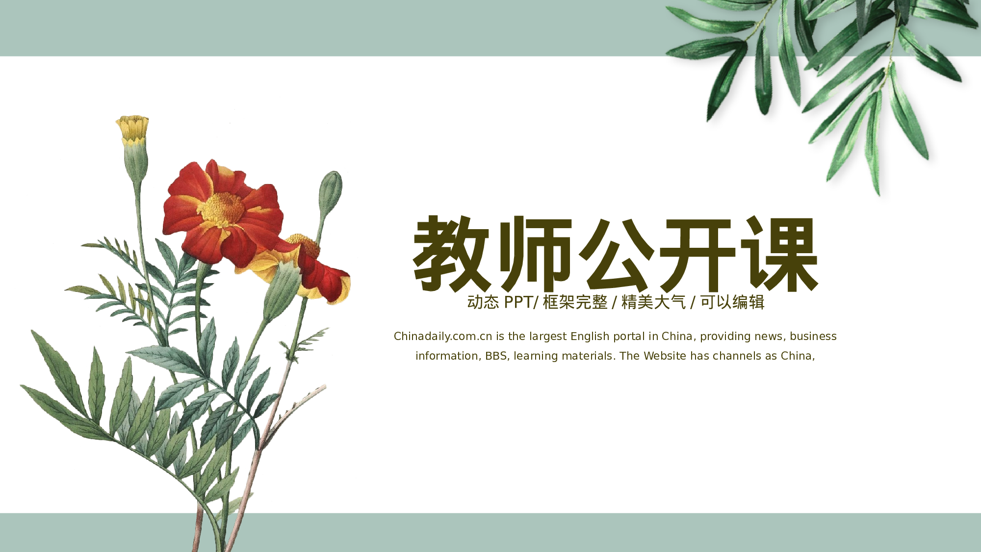 教师教育教学1224.pptx 第1页