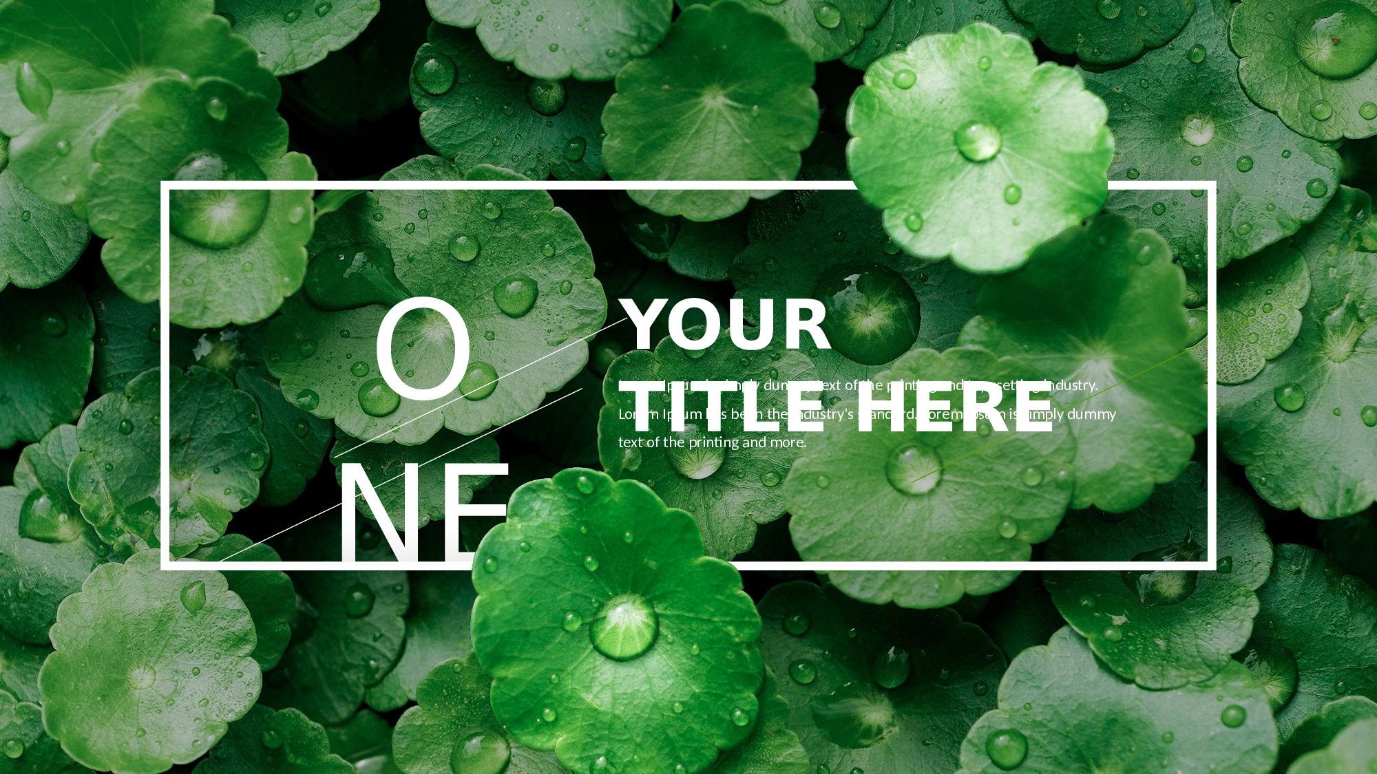 教师教育教学473414.pptx 第3页