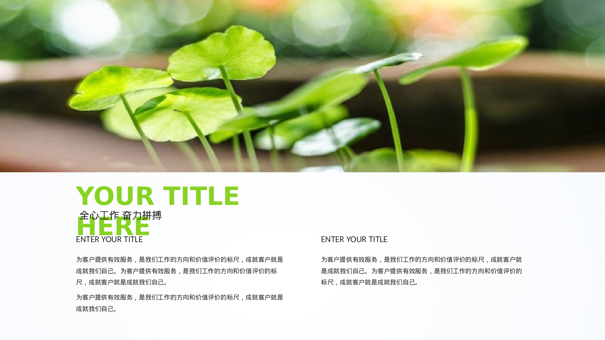 教师教育教学473414.pptx 第4页