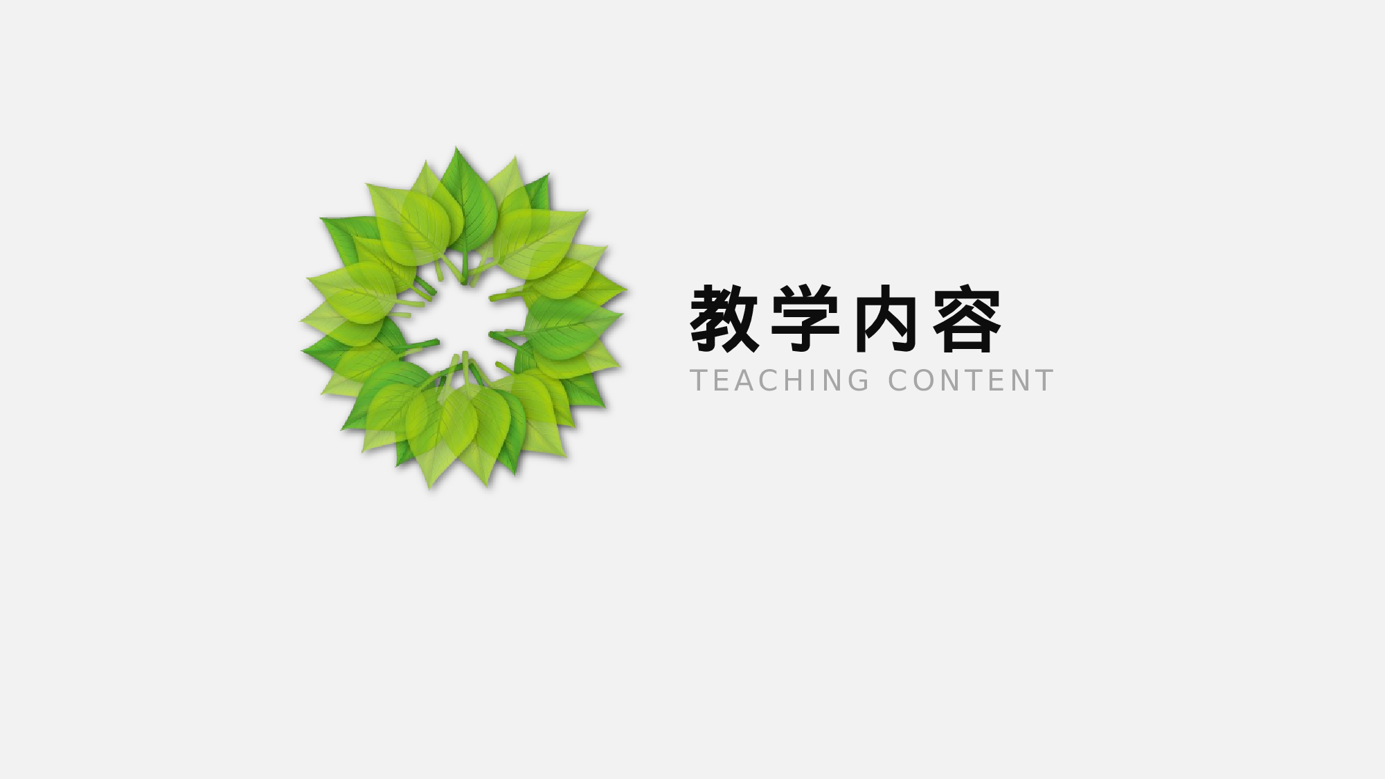 教师教育教学399332.pptx 第3页