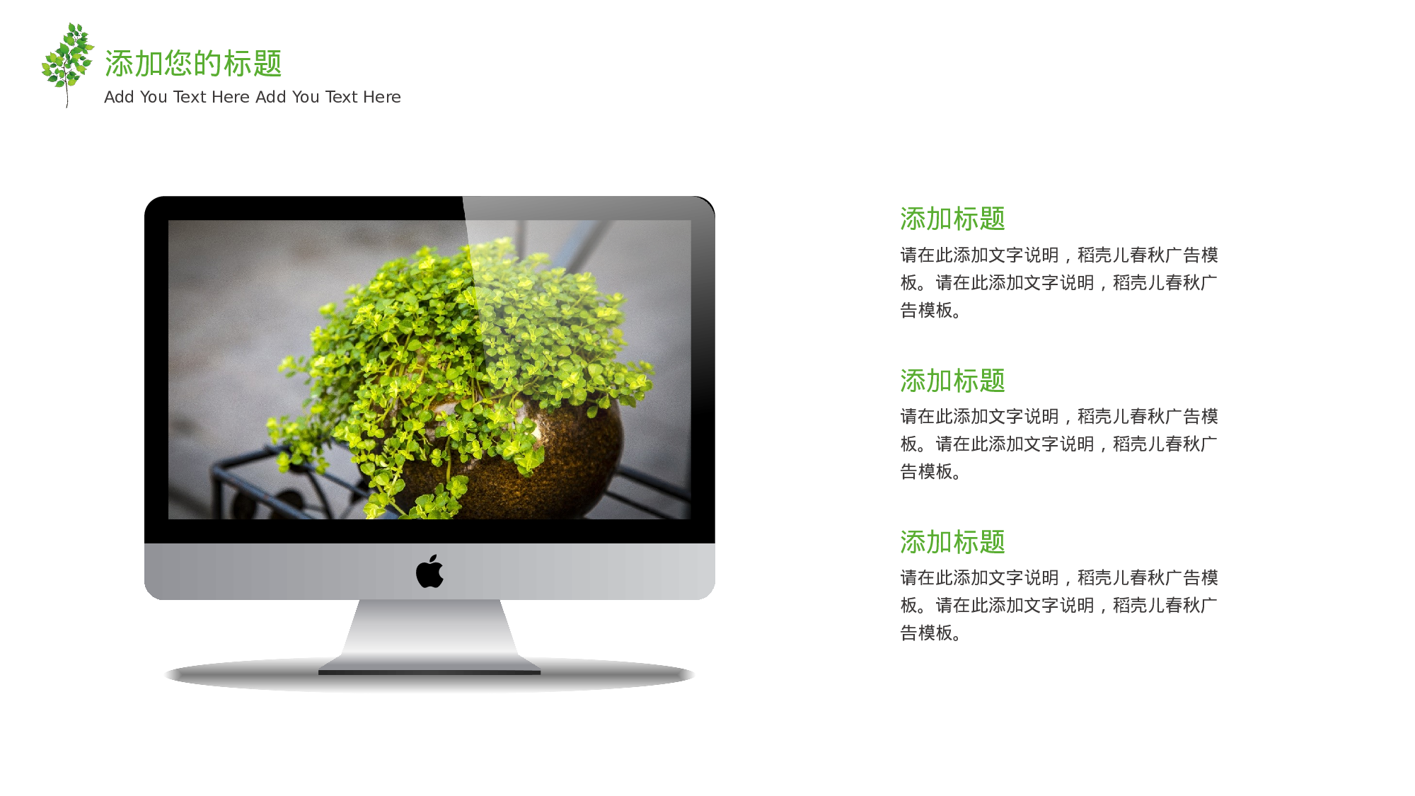 教师教育教学654614.pptx 第4页