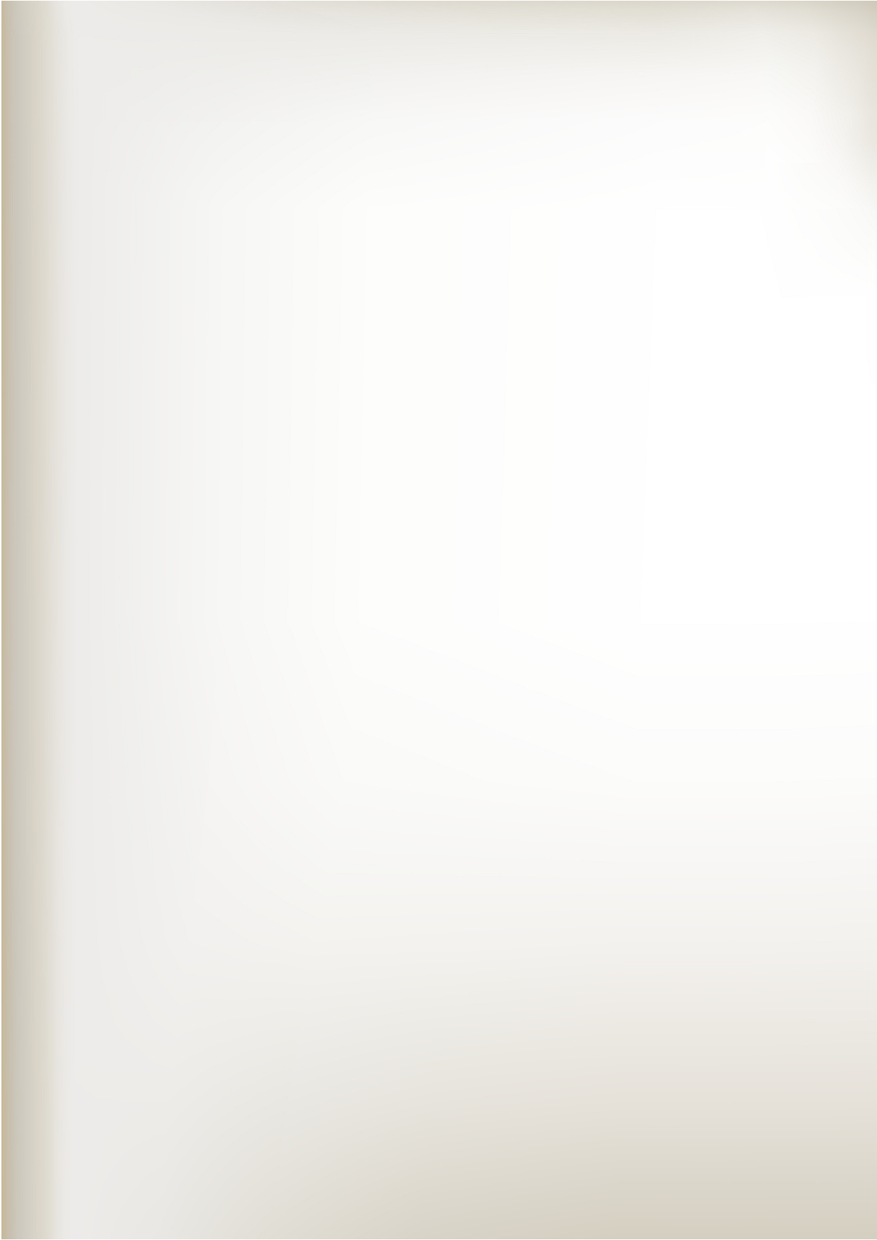 简历文4603.doc 第2页