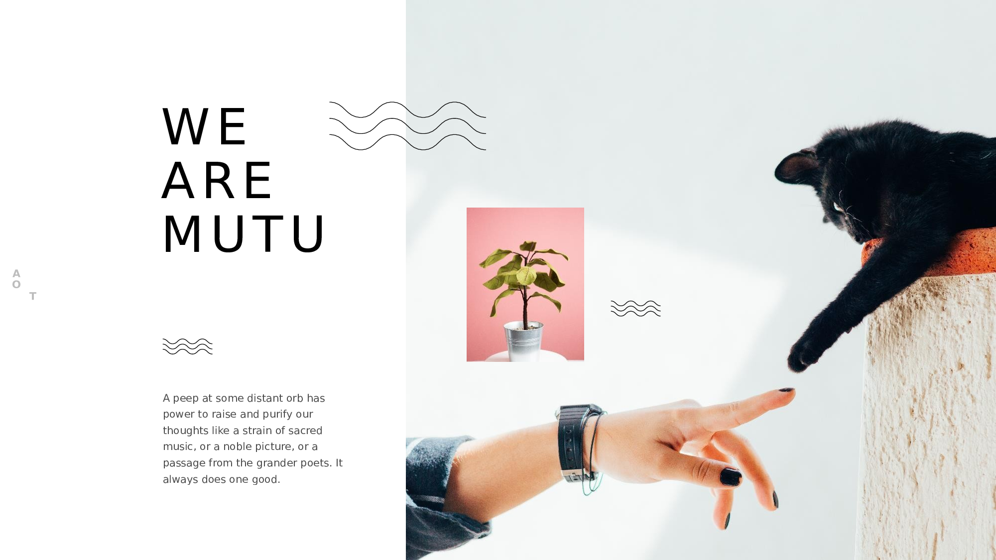 ins风1152.pptx 第1页