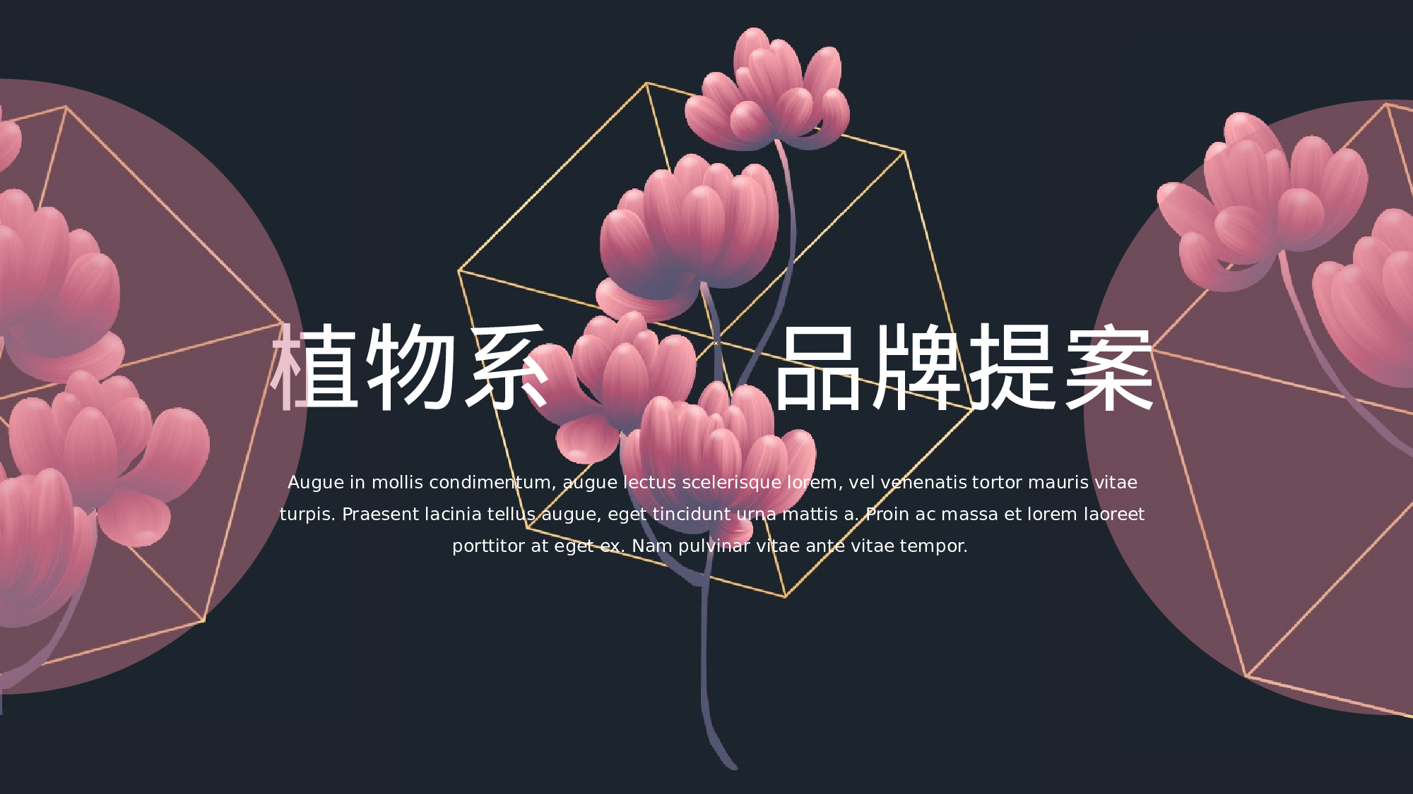 ins风142.pptx 第1页