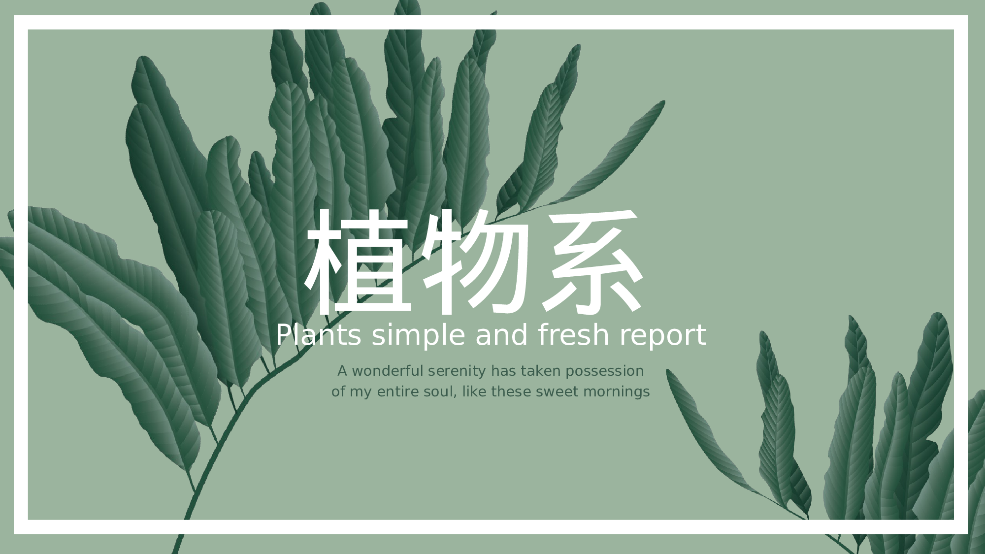 ins风344.pptx 第1页