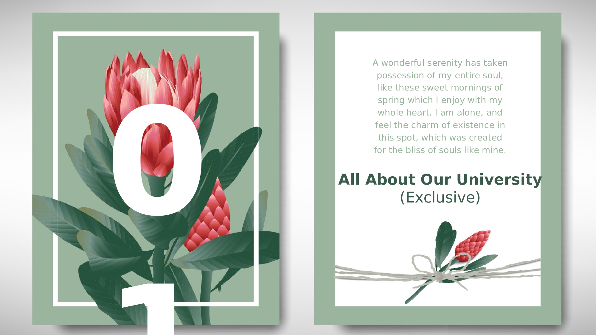 ins风344.pptx 第3页