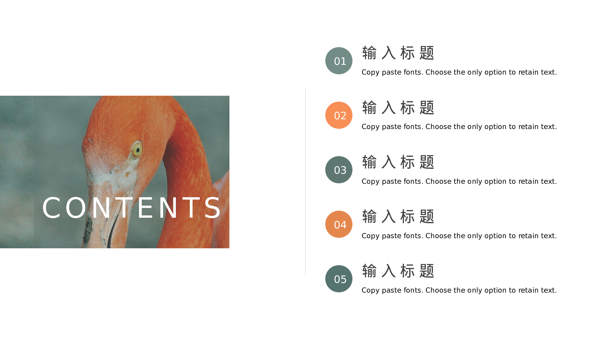 ins风445.pptx 第2页