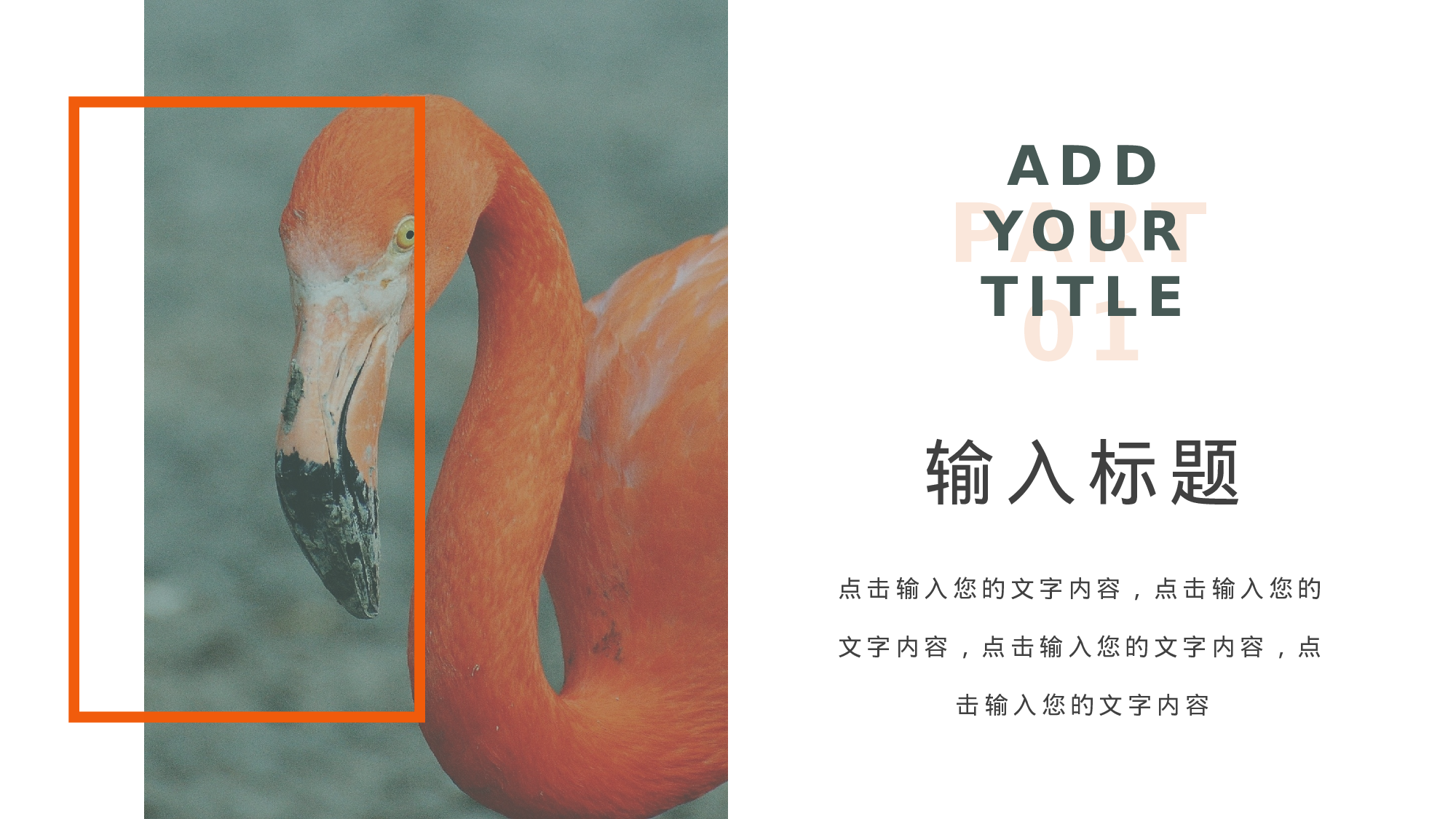 ins风445.pptx 第3页