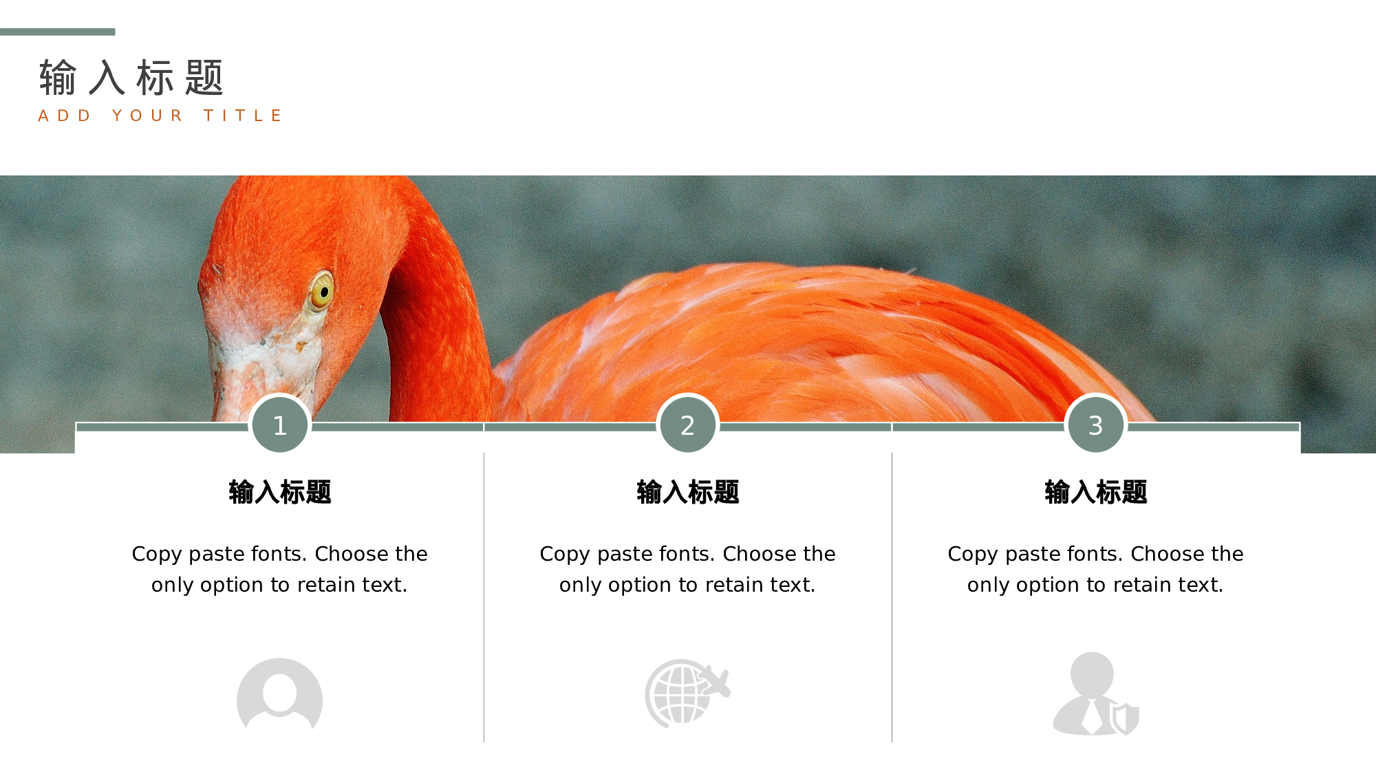 ins风445.pptx 第5页