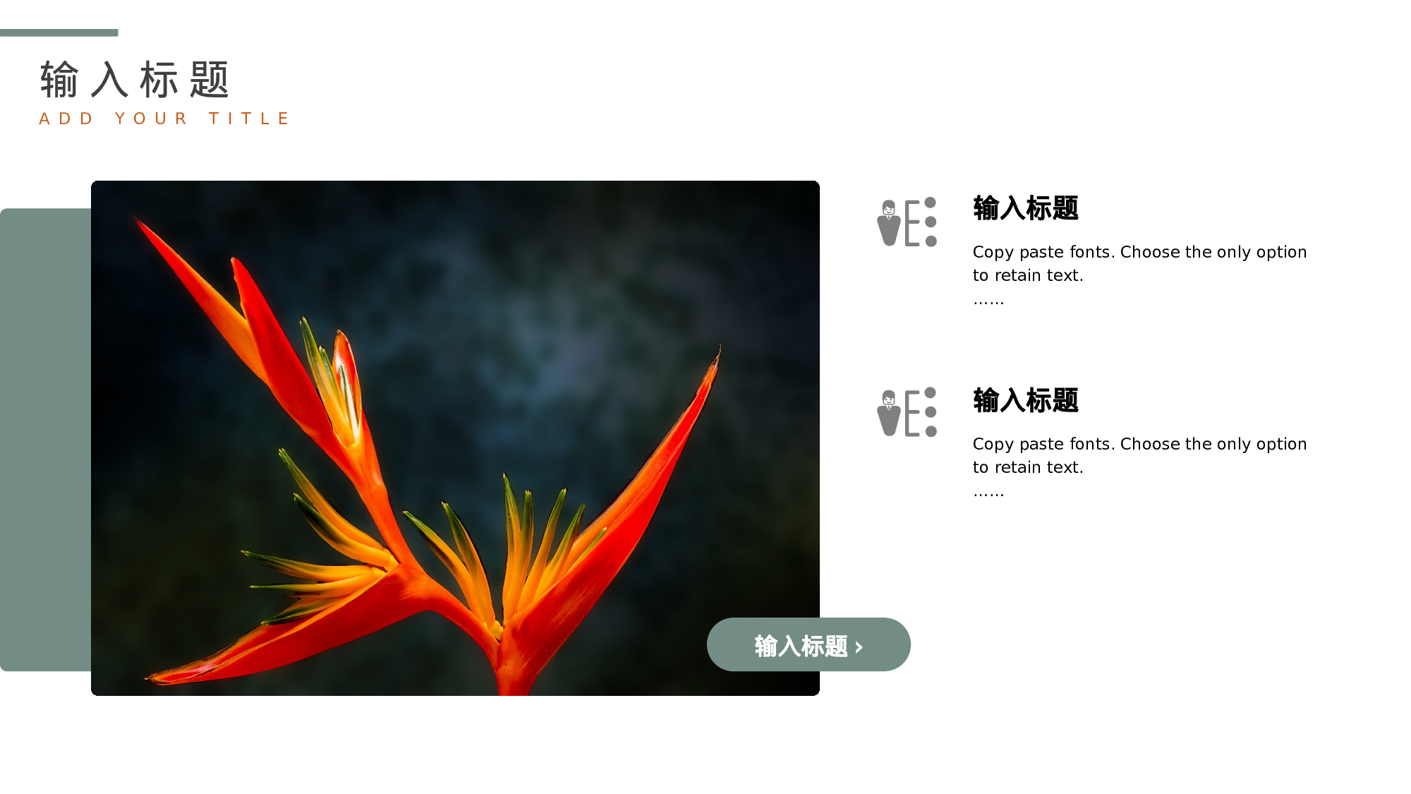 ins风445.pptx 第6页