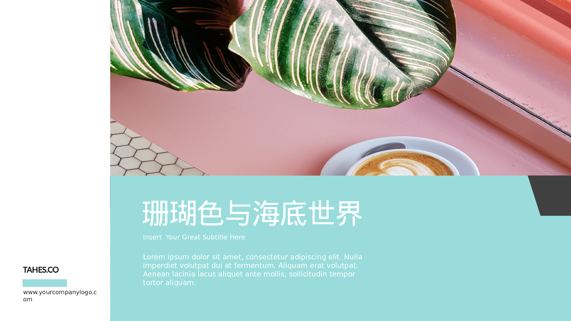 ins风647.pptx 第1页