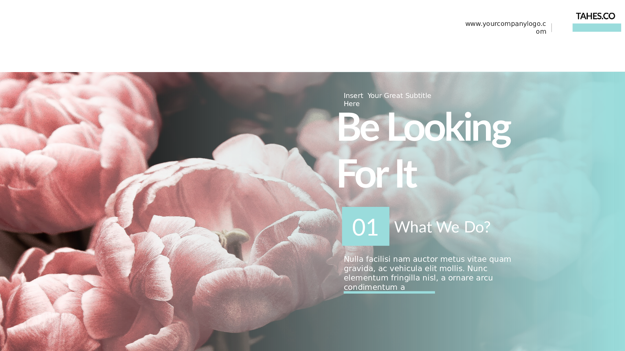 ins风647.pptx 第3页