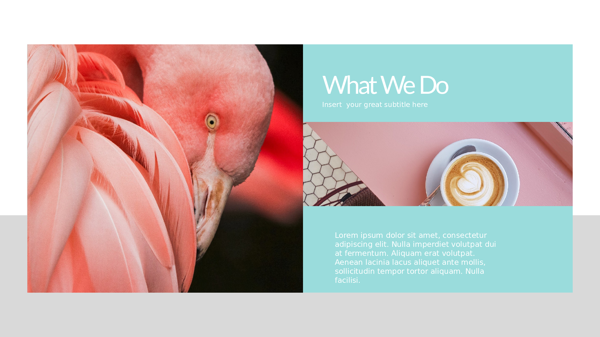 ins风647.pptx 第4页