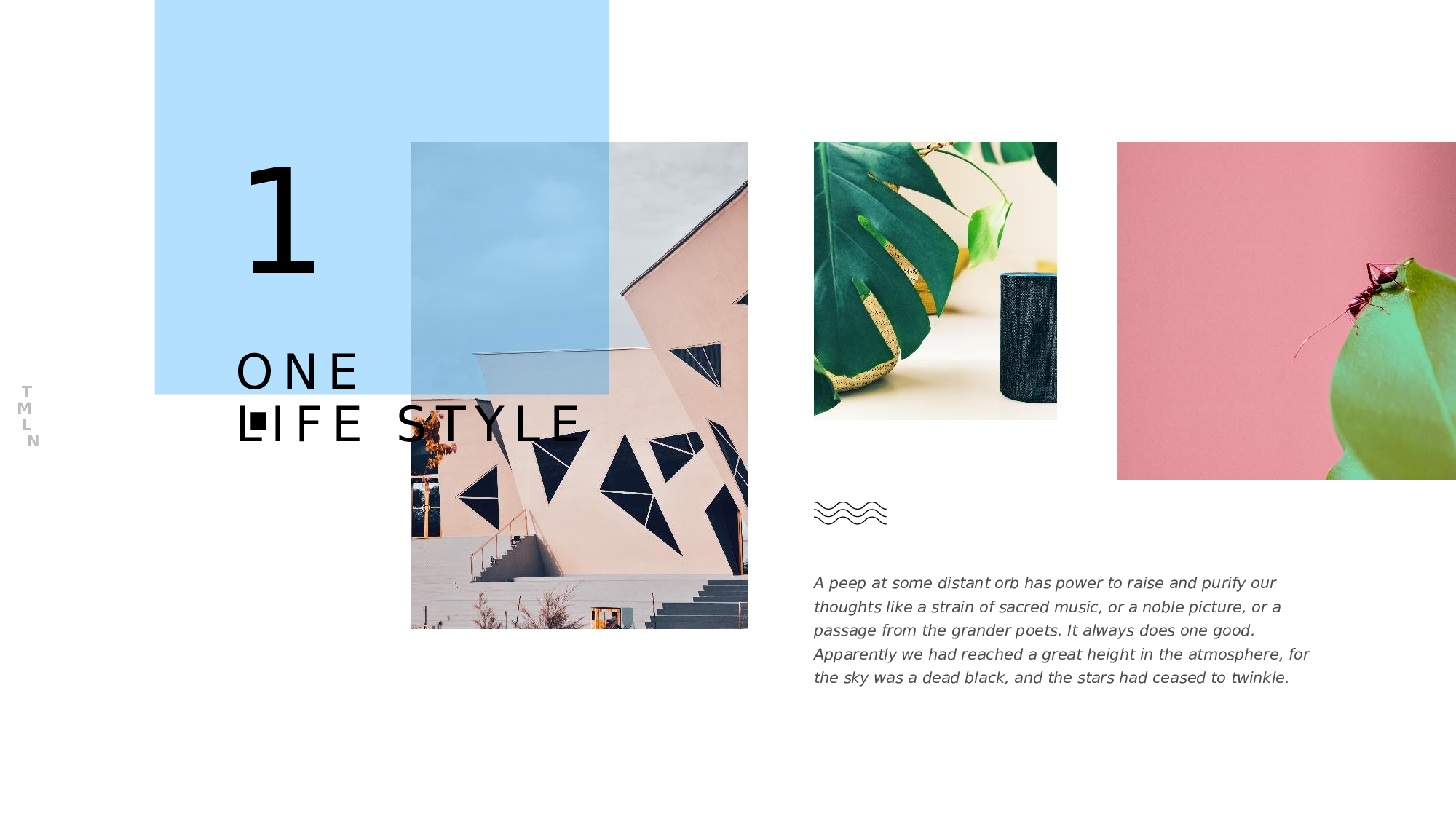 ins风748.pptx 第4页