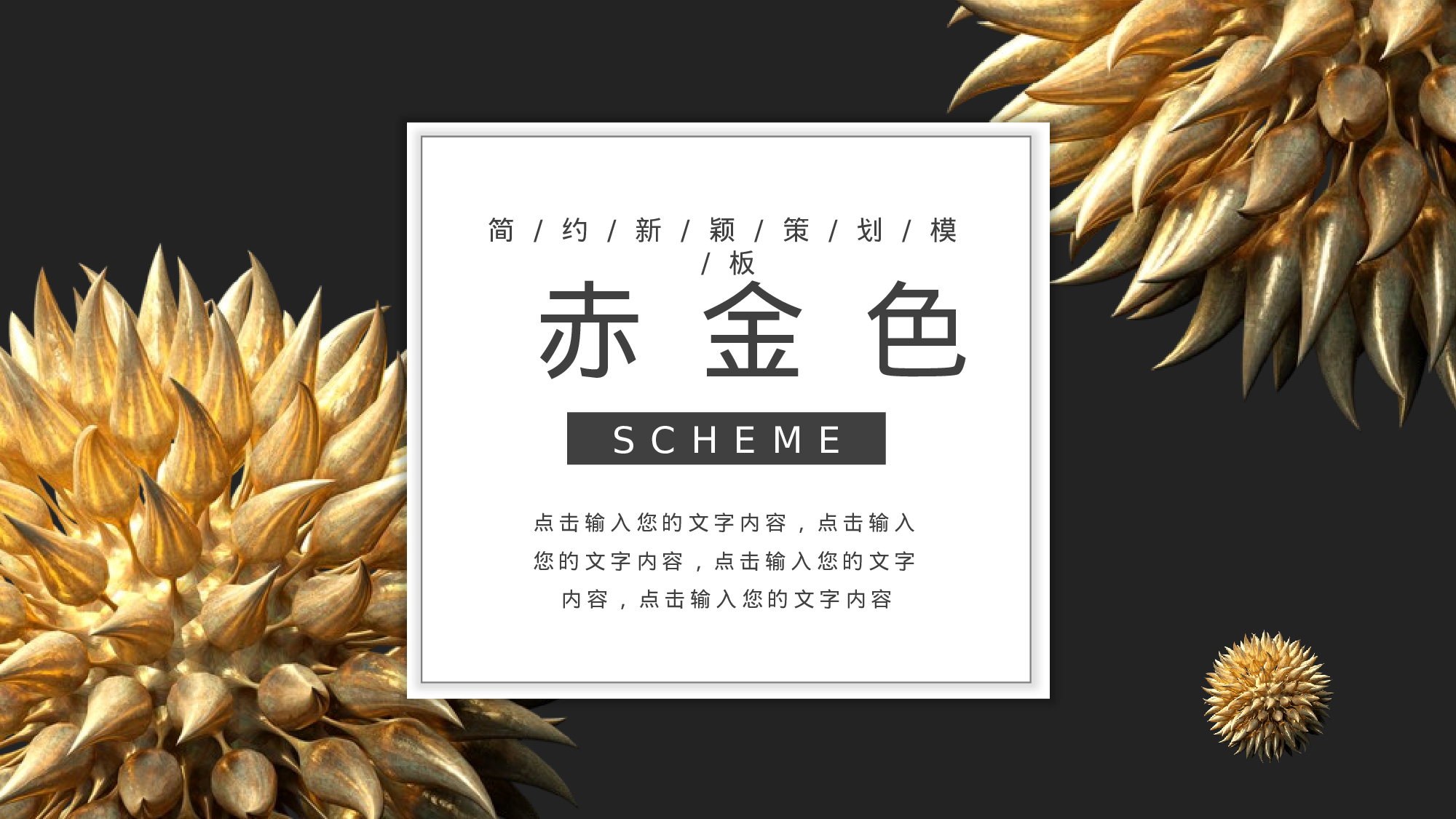 ins风2411.pptx 第1页