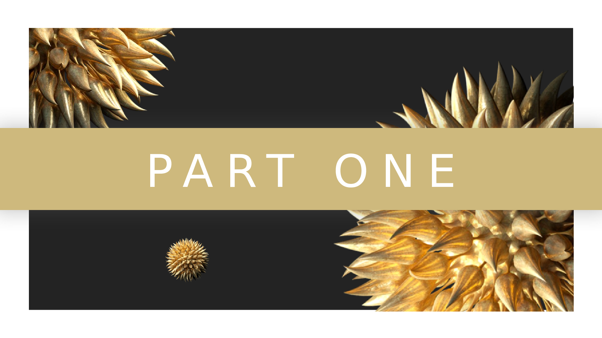 ins风2411.pptx 第3页