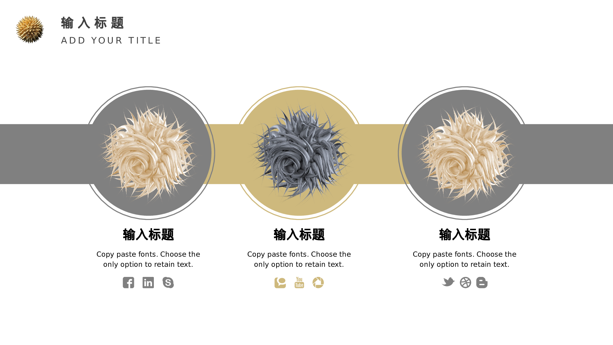 ins风2411.pptx 第5页