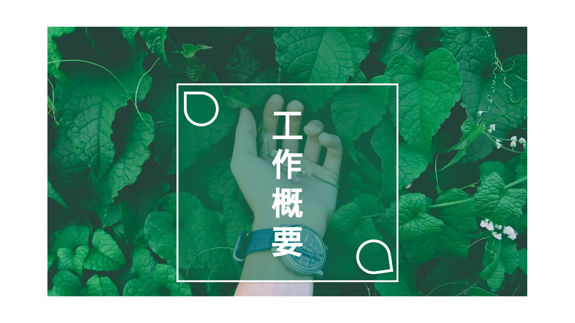 ins风3522.pptx 第3页