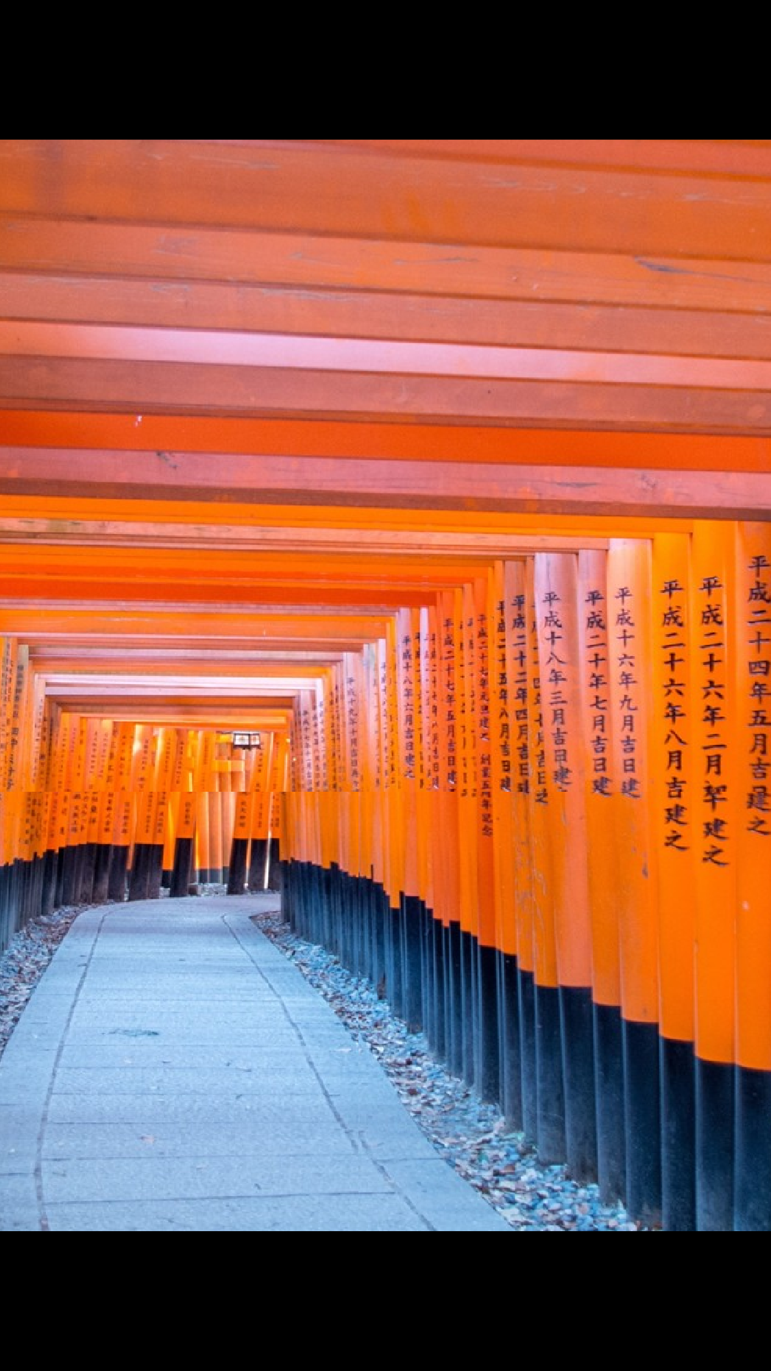 【编号14】东京旅游酷炫图文快闪动画通用PPT模板.pptx 第3页