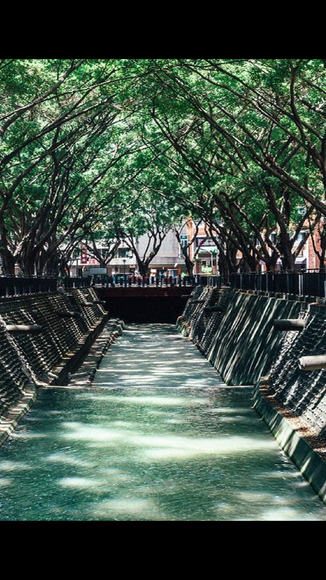 【编号14】东京旅游酷炫图文快闪动画通用PPT模板.pptx 第5页