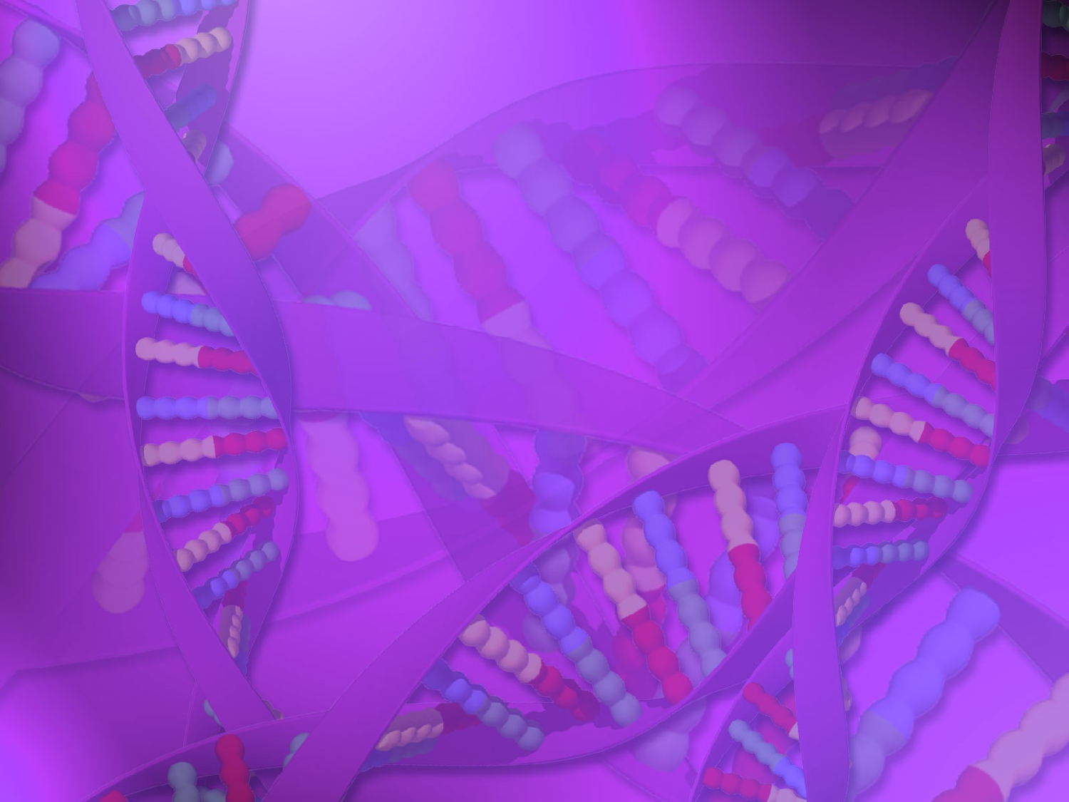 动画版162.ppt 第1页